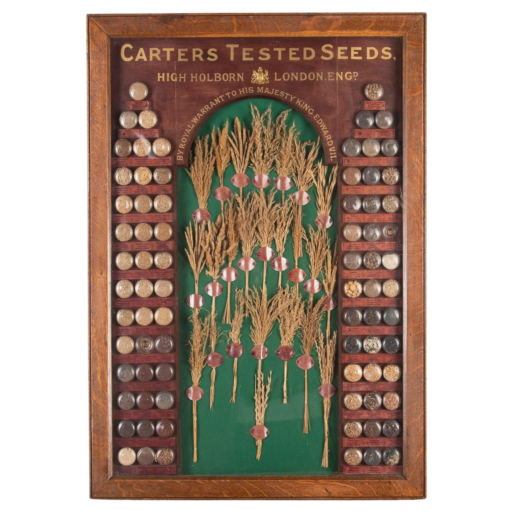 19th Century Carter Tested Seed Wall Display For Sale