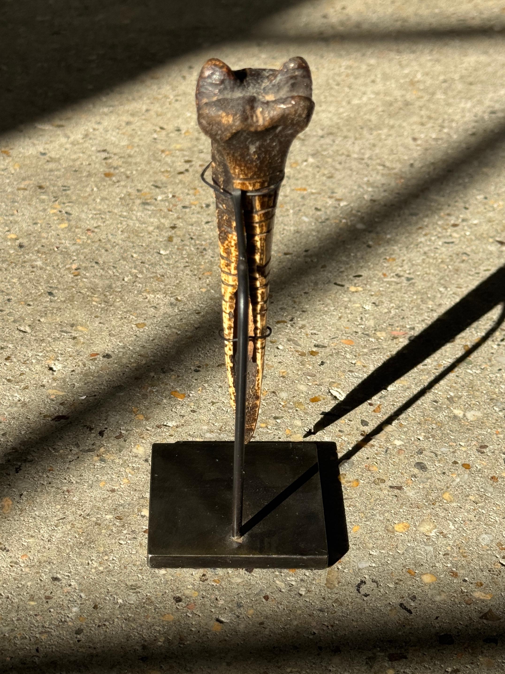 Utensile in osso africano intagliato del XIX secolo proveniente dal Camerun in vendita 4