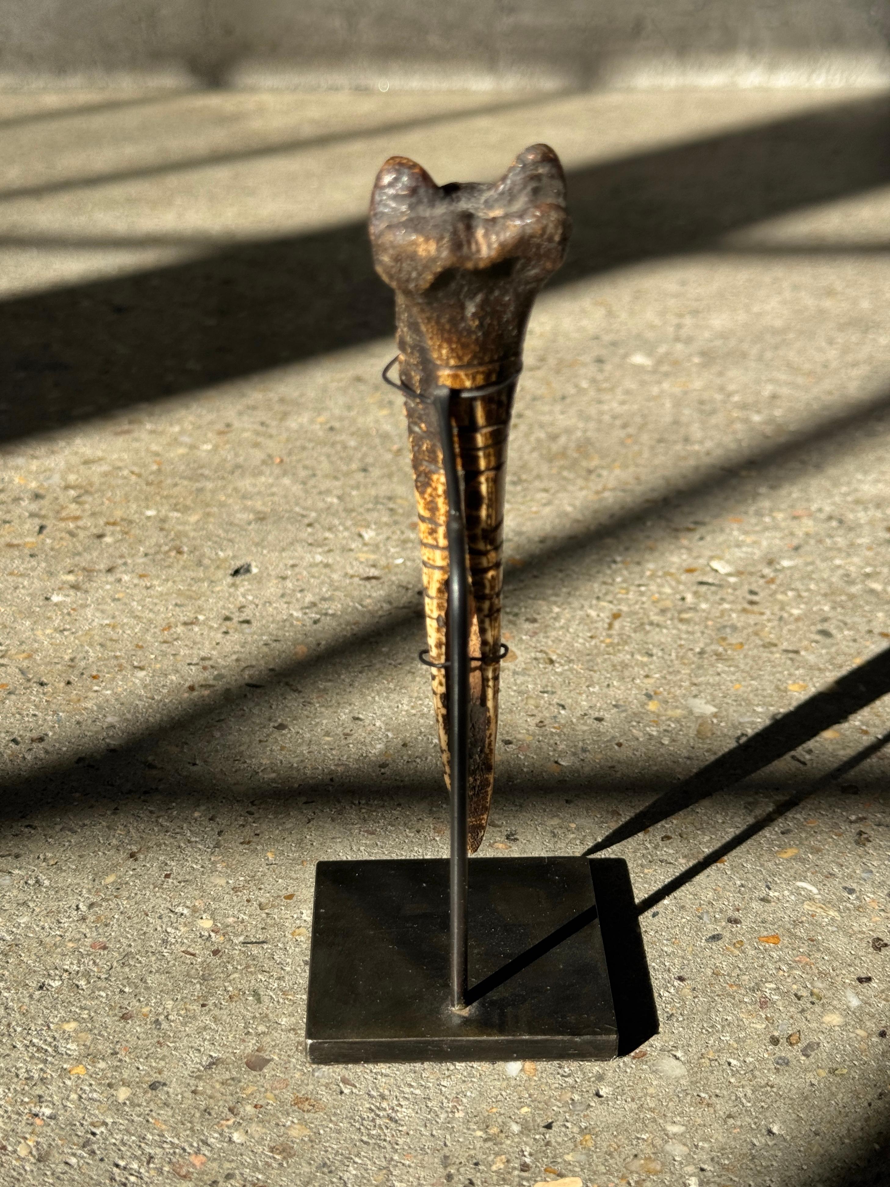 Utensile in osso africano intagliato del XIX secolo proveniente dal Camerun in vendita 1