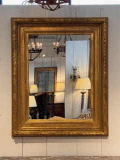 19th Century Carved and Gilt Wood Wall Mirror