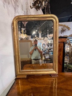 19th Century Carved and Giltwood Louis Philippe Mirror