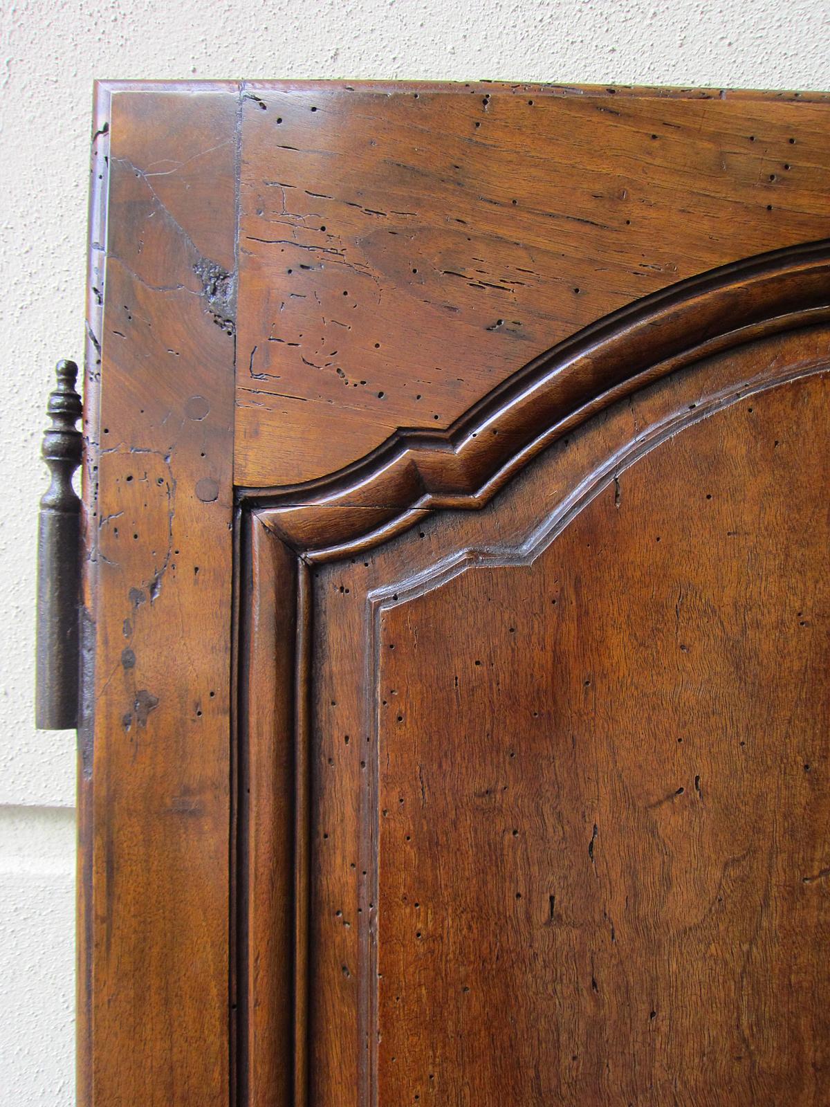 Hand-Carved 19th Century Carved Armoire Door