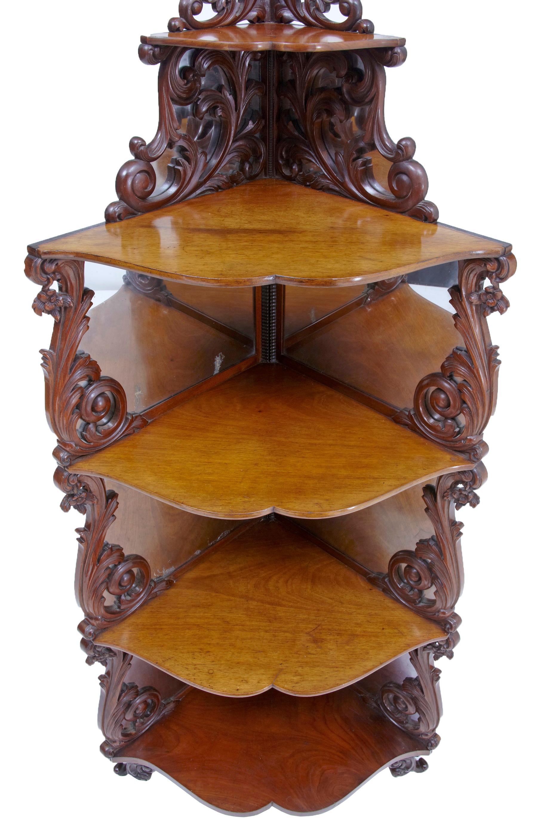 European 19th Century Carved Mahogany Victorian Mirrored Whatnot