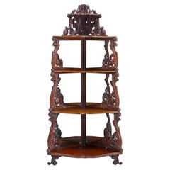 19th century carved mahogany victorian mirrored whatnot