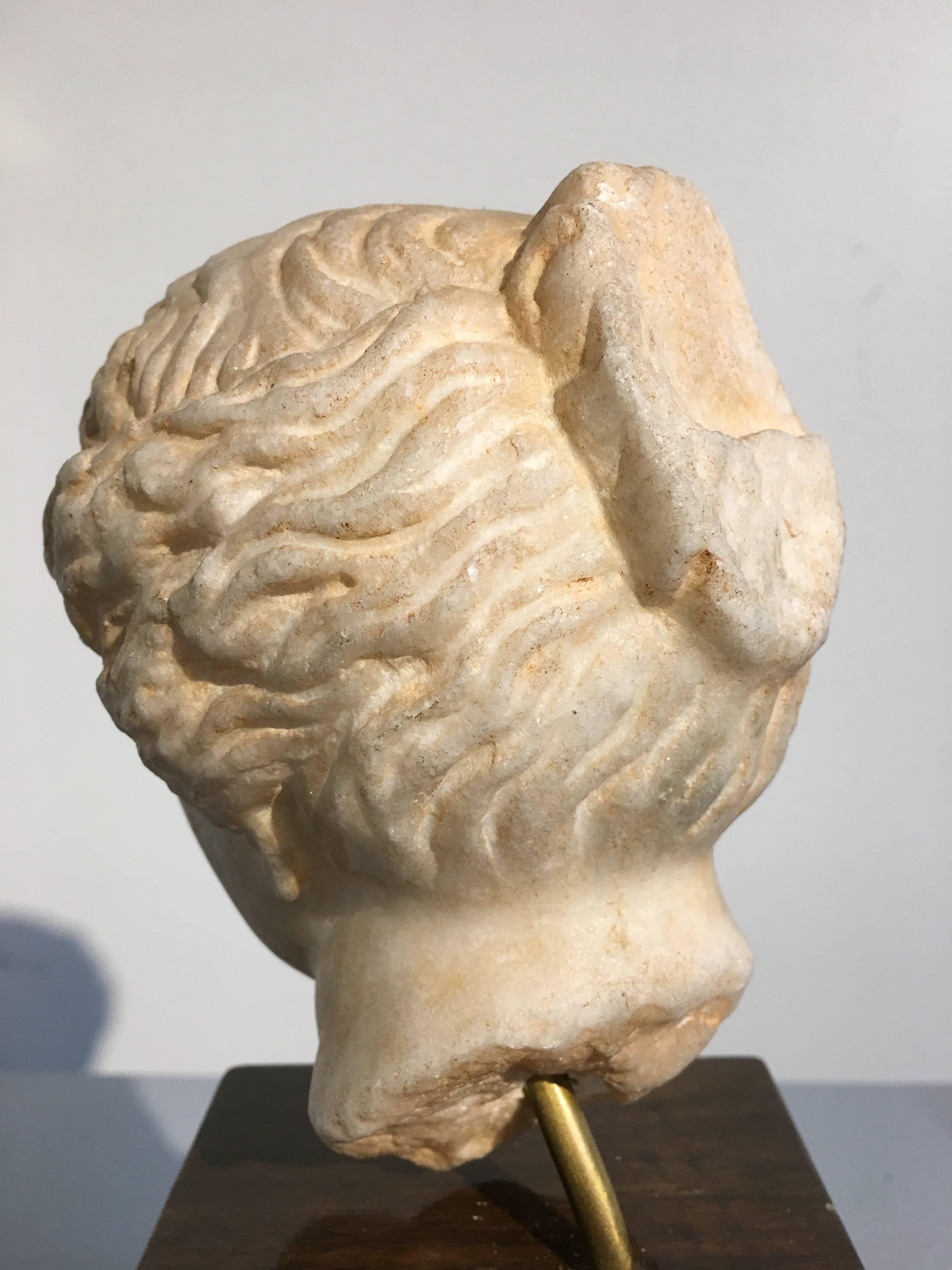 19th Century Carved Marble Head of Apollo 4