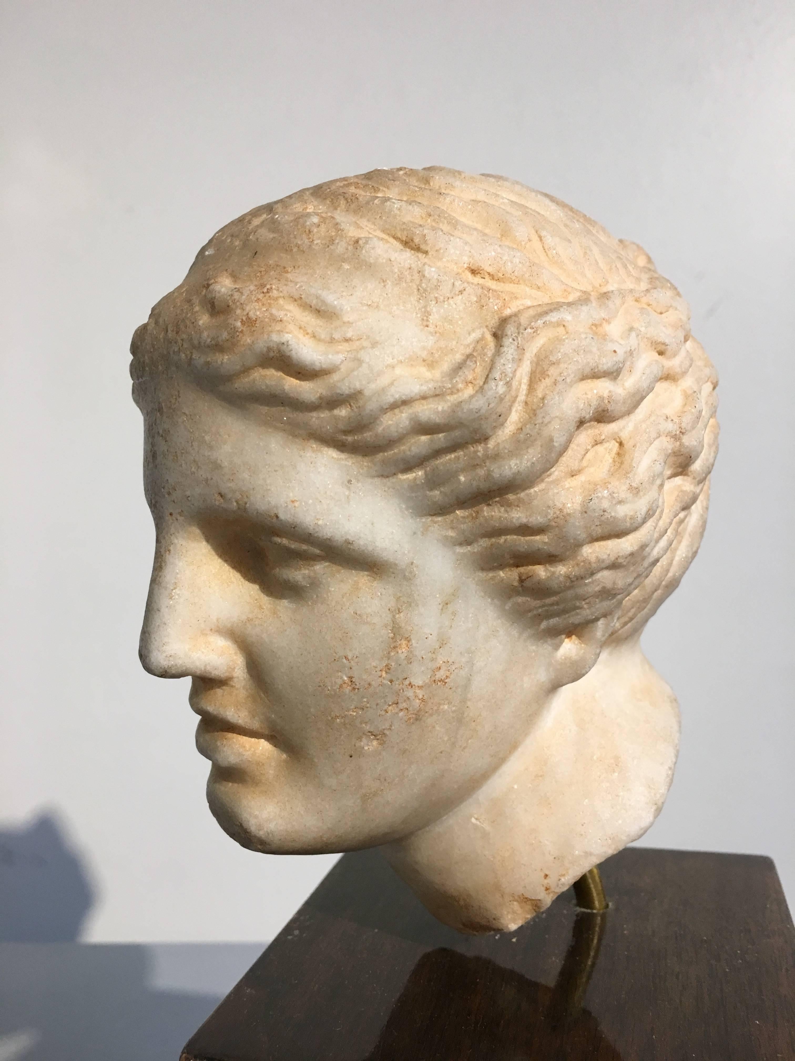19th Century Carved Marble Head of Apollo 5