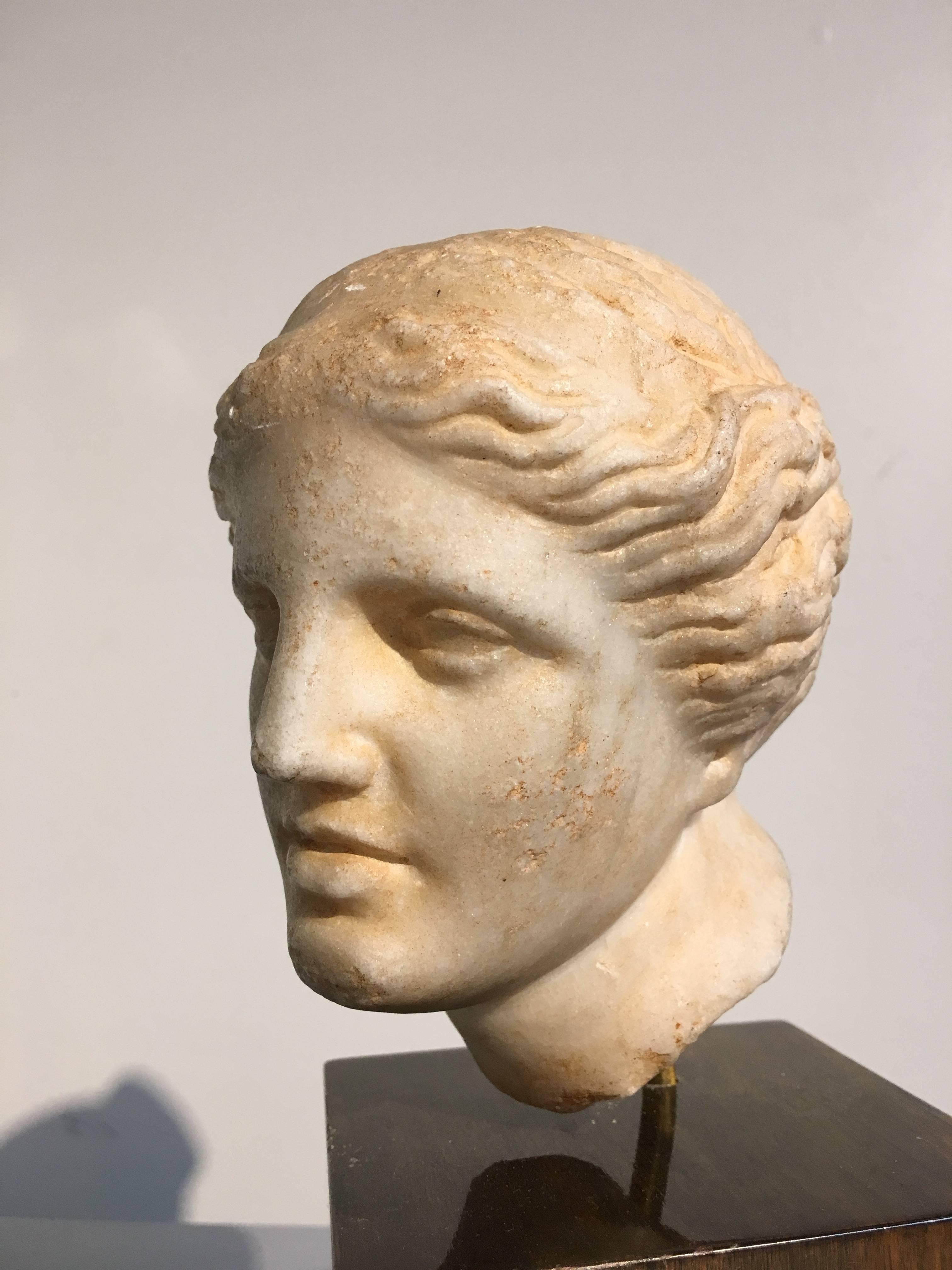 19th Century Carved Marble Head of Apollo 6