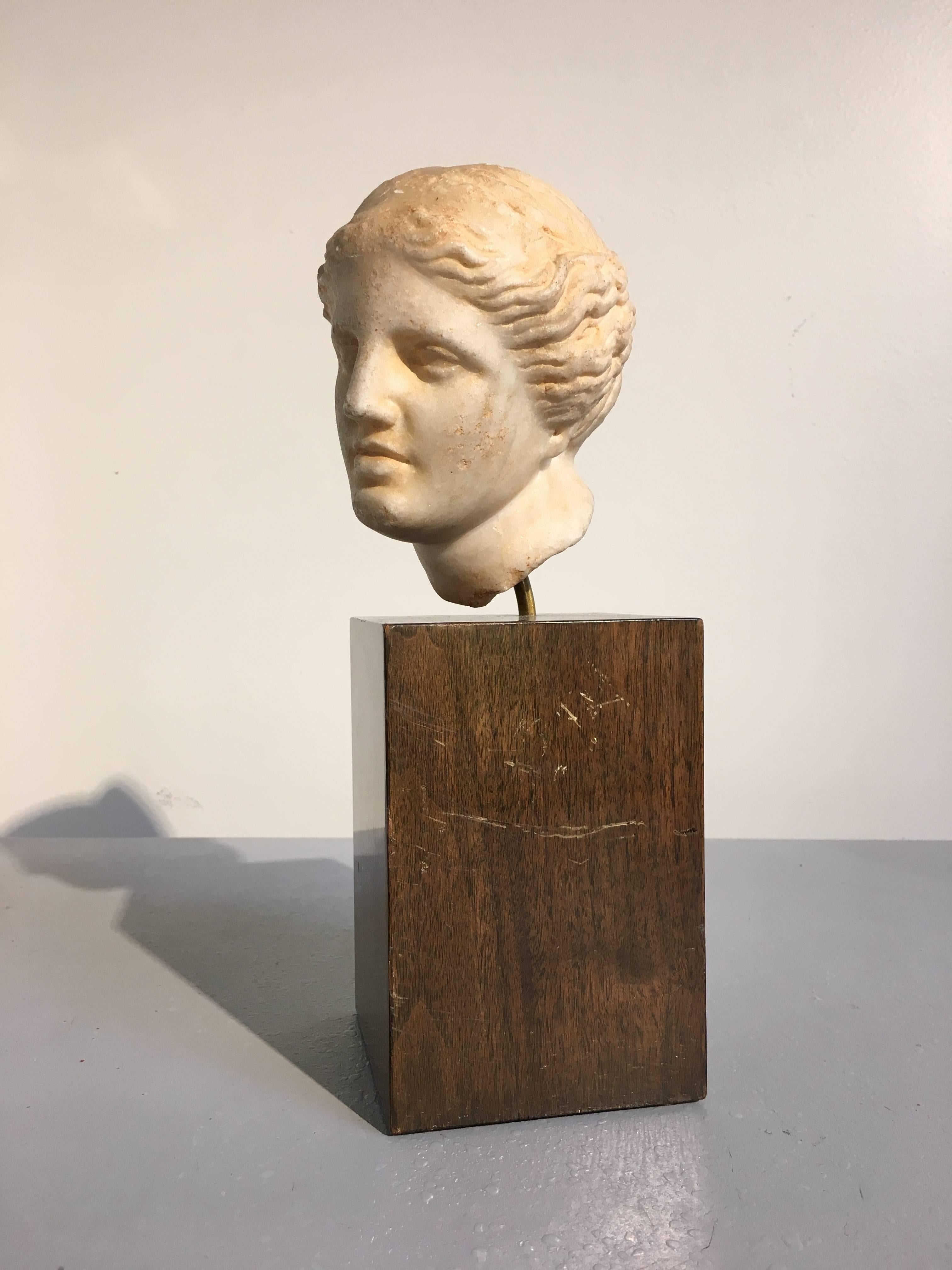 Grand Tour 19th Century Carved Marble Head of Apollo