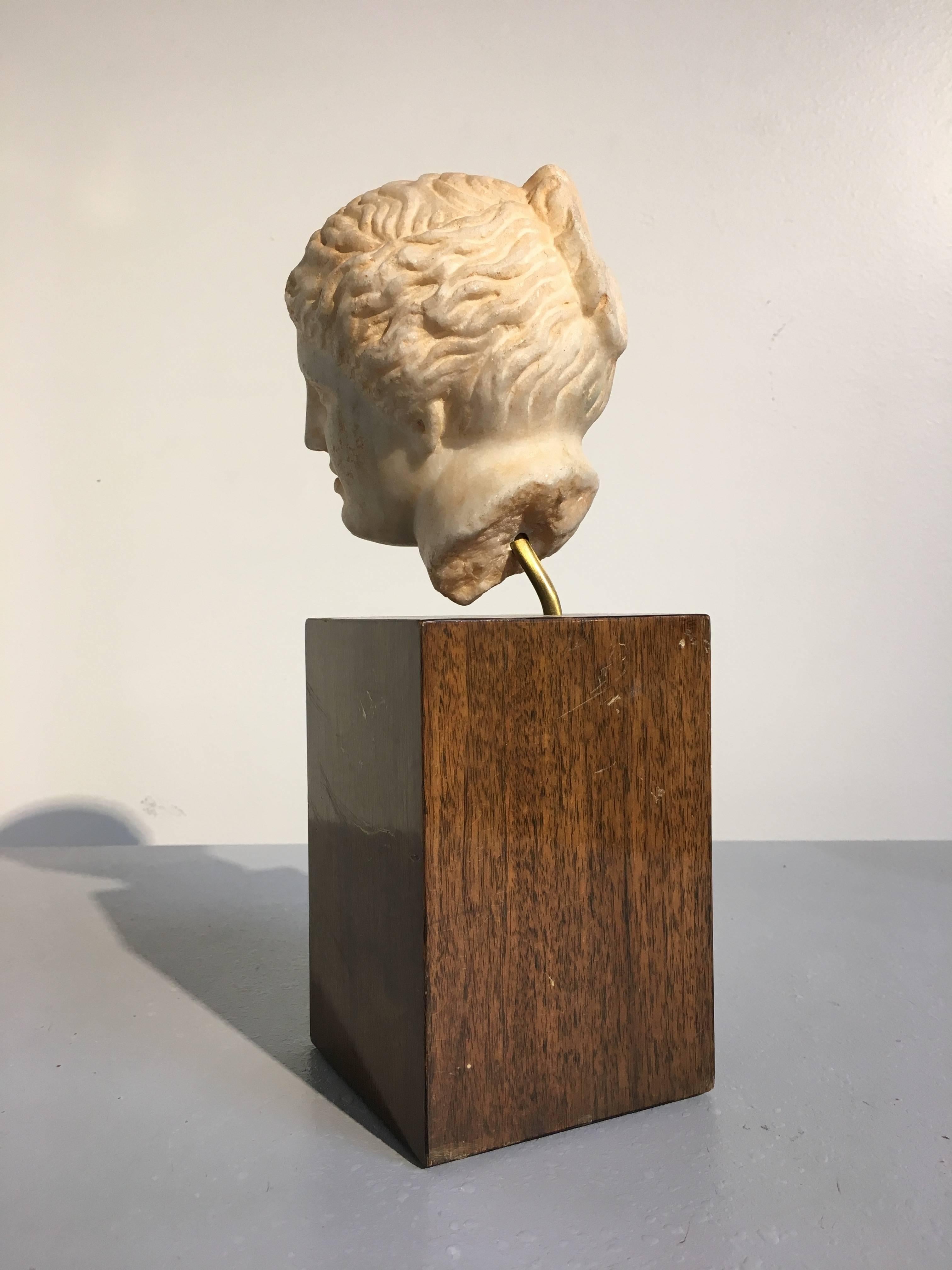 Italian 19th Century Carved Marble Head of Apollo