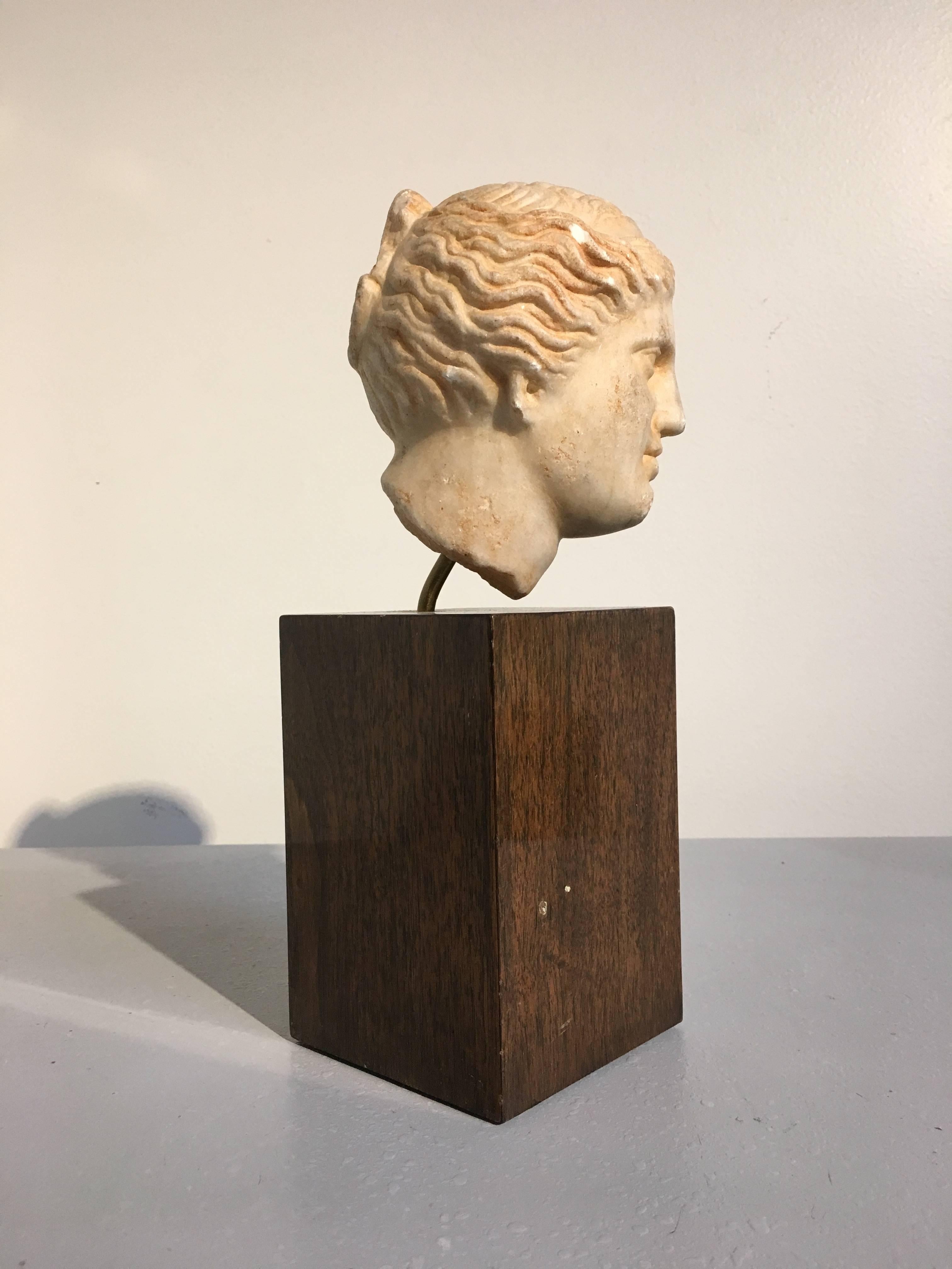 19th Century Carved Marble Head of Apollo In Good Condition In Austin, TX