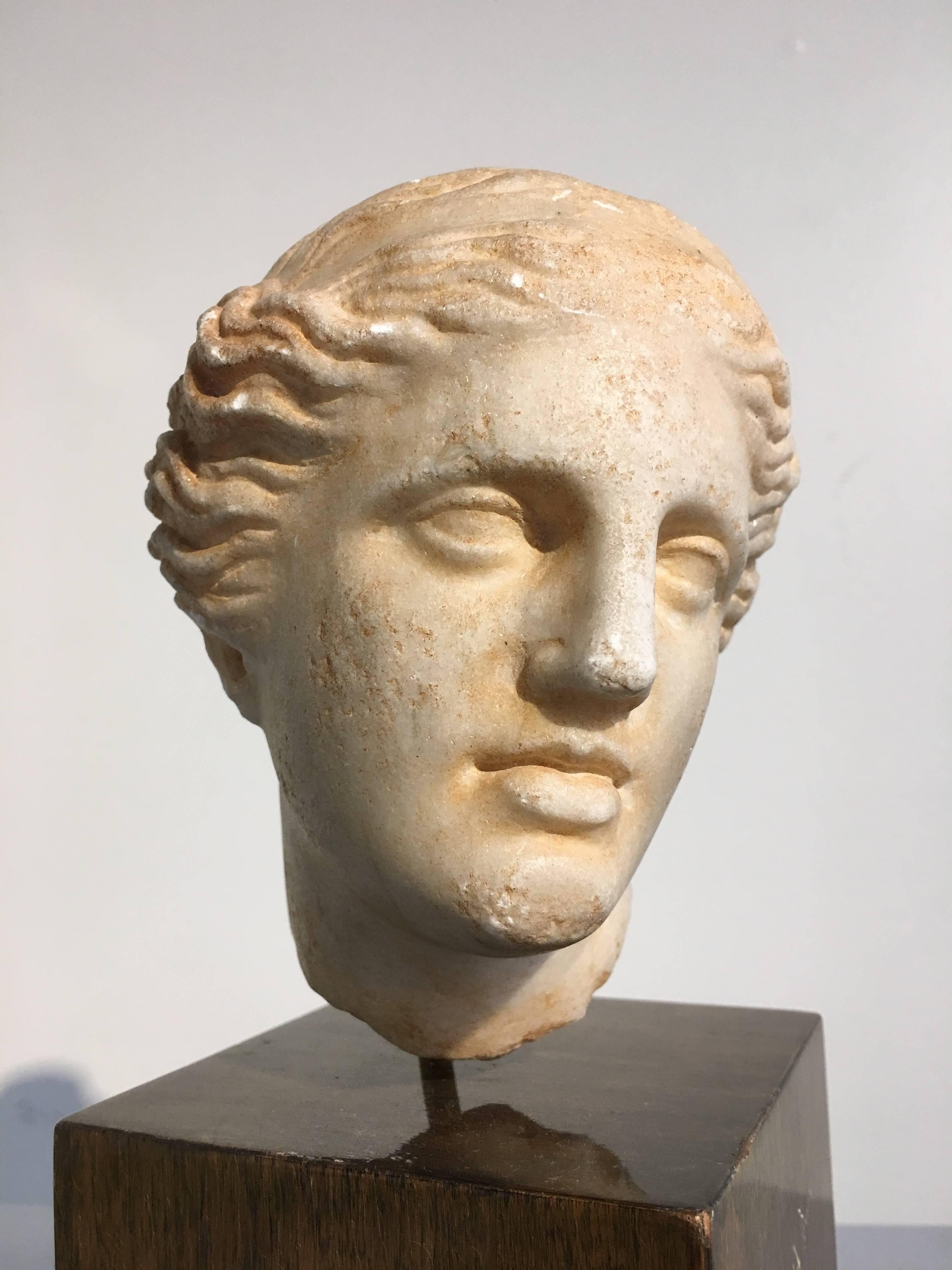 19th Century Carved Marble Head of Apollo 1