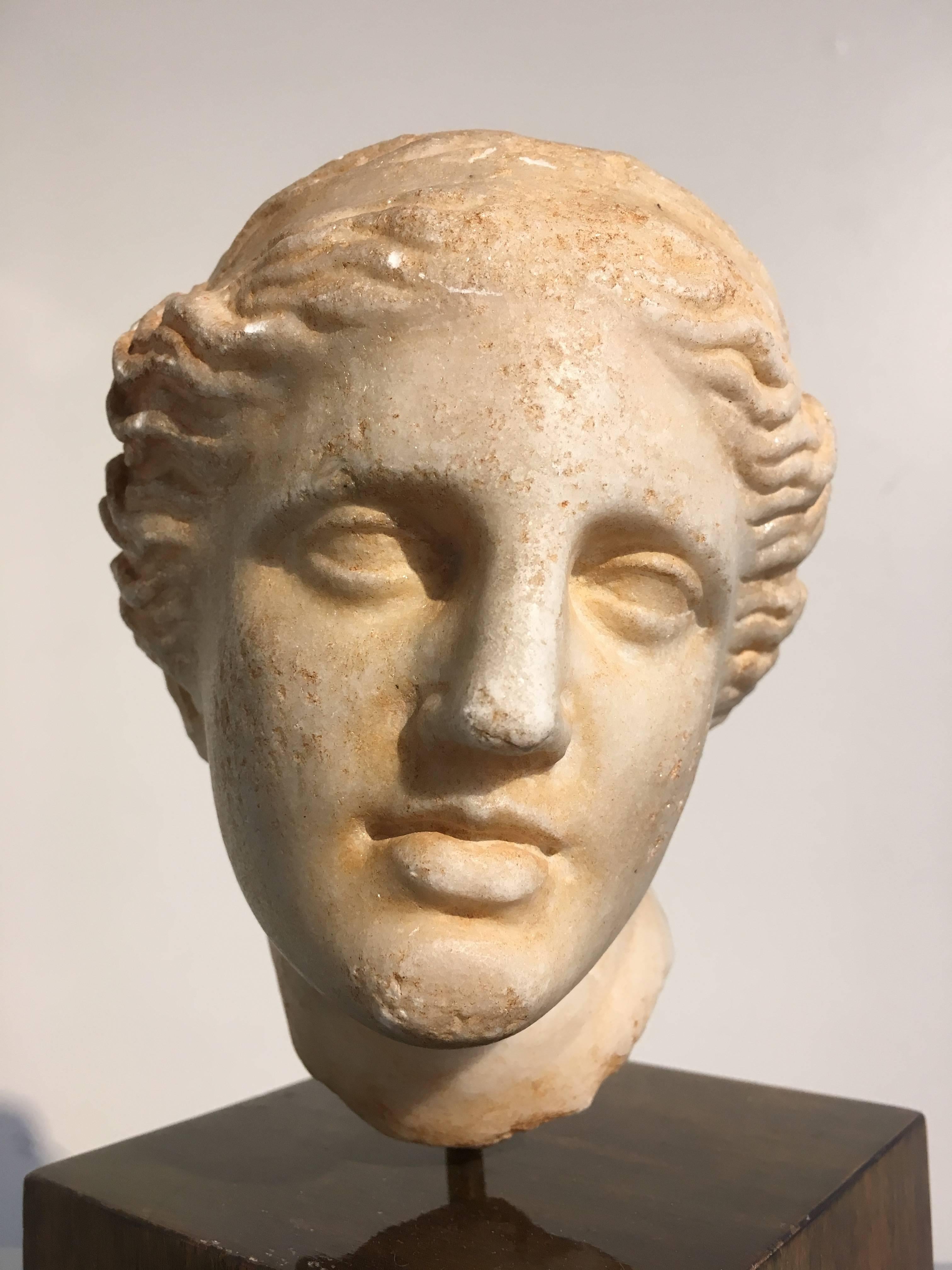 19th Century Carved Marble Head of Apollo 2