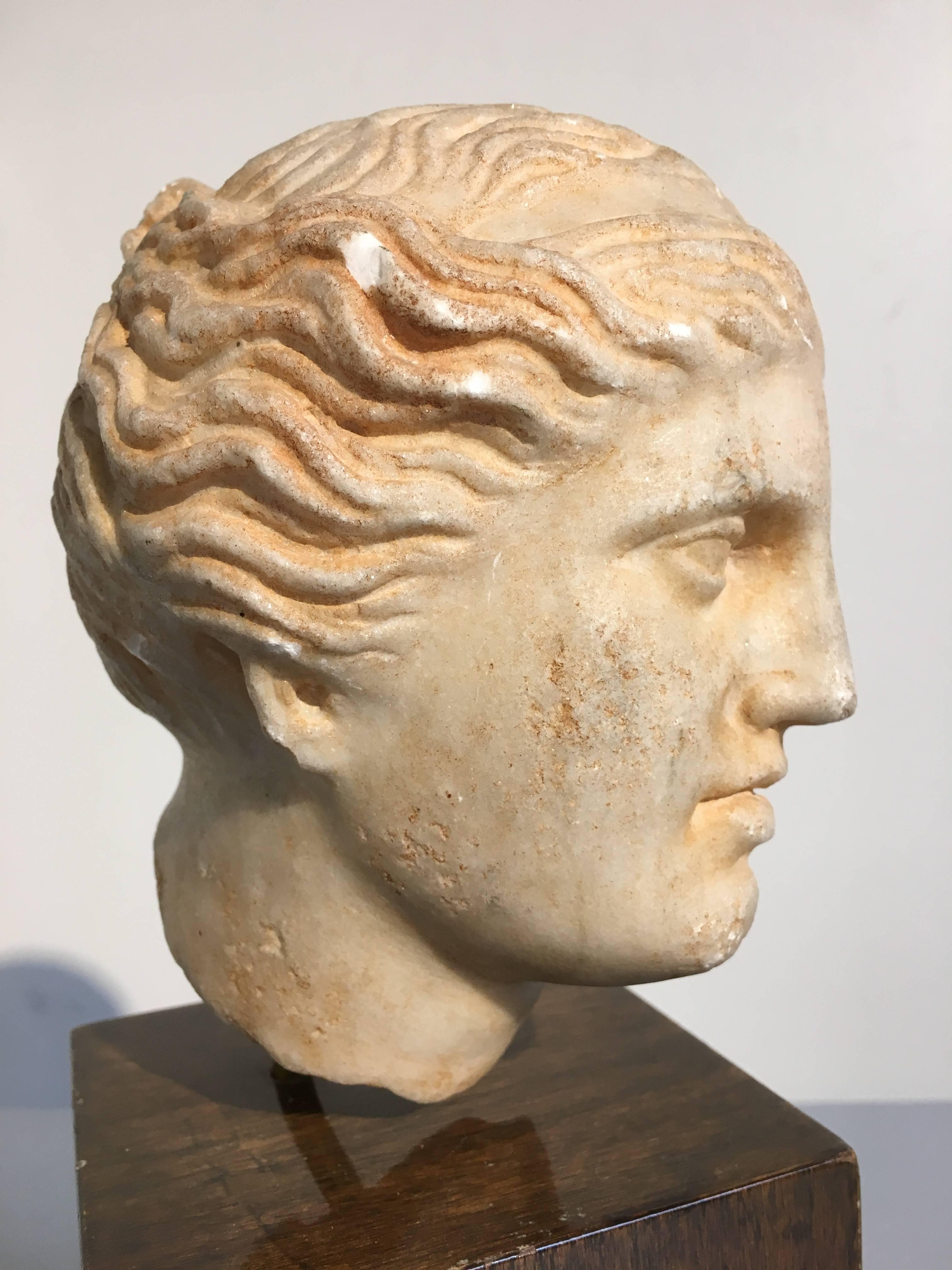 19th Century Carved Marble Head of Apollo 3