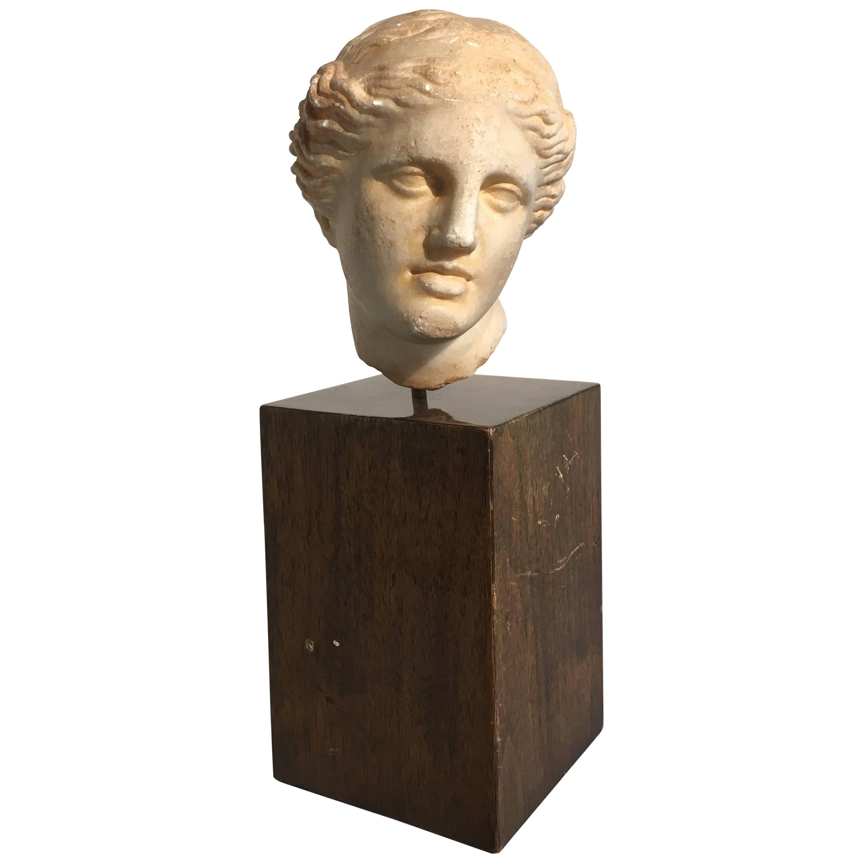 19th Century Carved Marble Head of Apollo