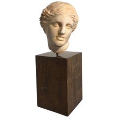 19th Century Carved Marble Head of Apollo