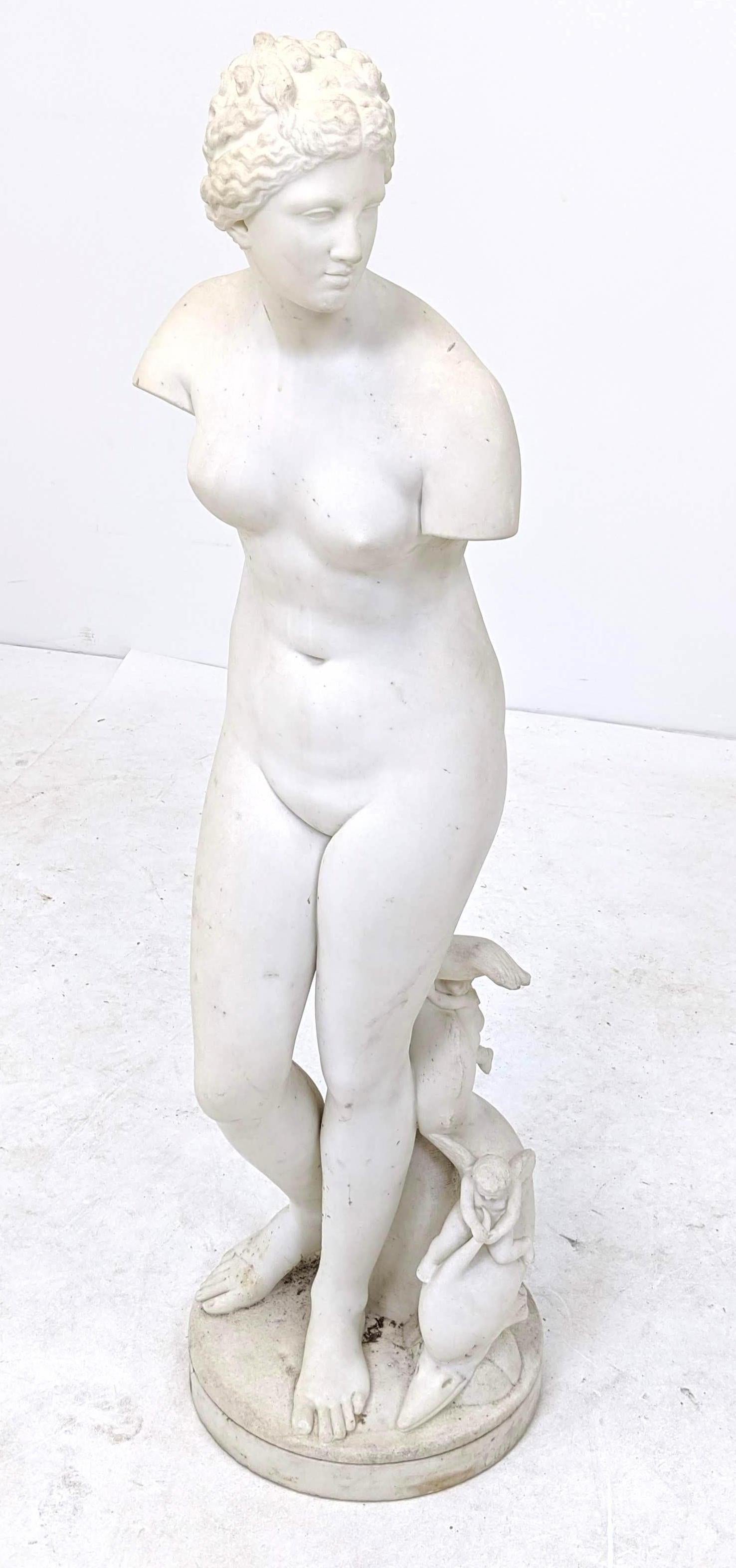 19th century carved marble Venus.