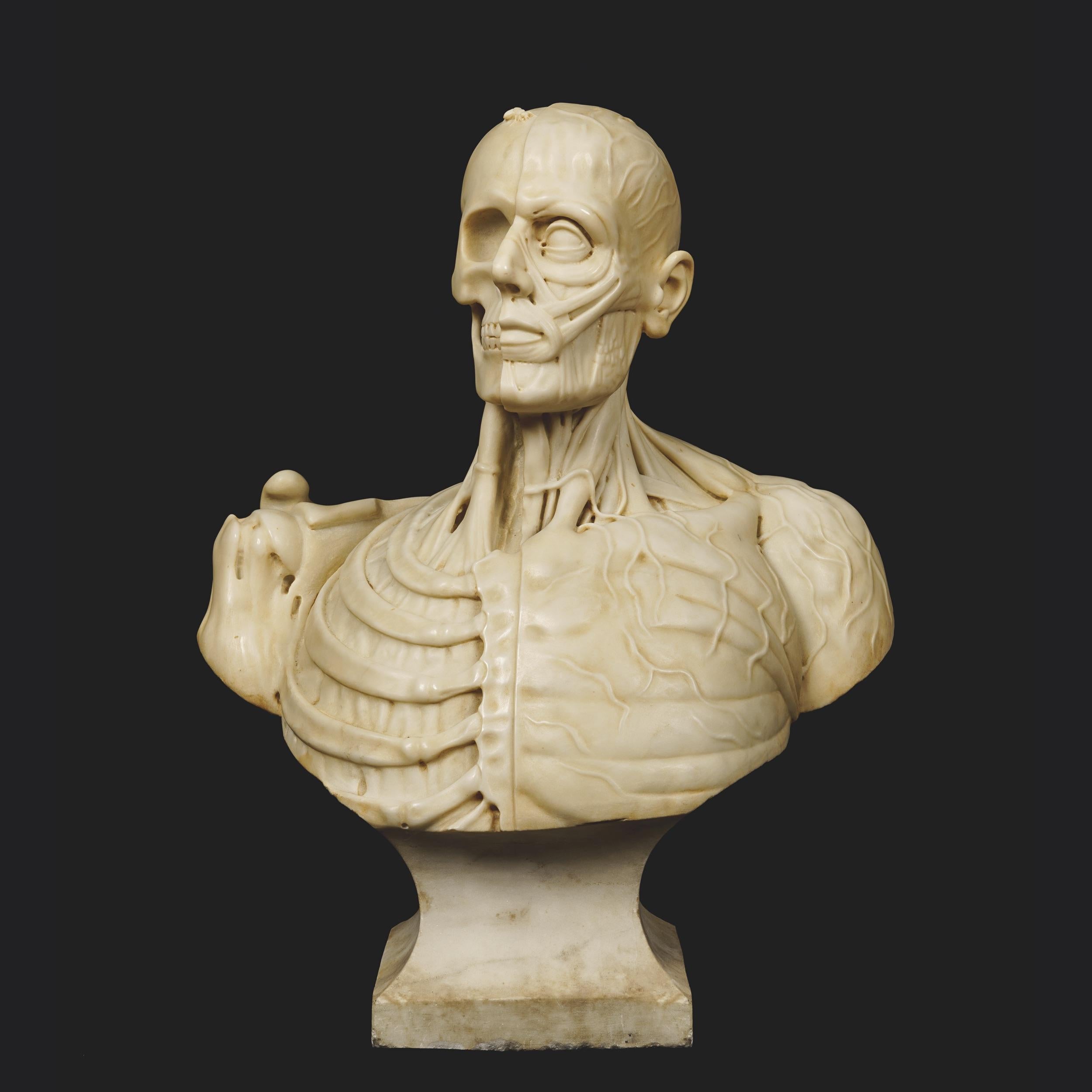 A rare vanitas anatomical bust


Carved in Carrara marble, the partially excoriated bust of a male accompanied by the austere figure of a fly, a poignant symbol used in conjunction of the skull and placing this bust firmly within the tradition of