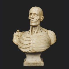 19th Century Carved Marble Vanitas Bust