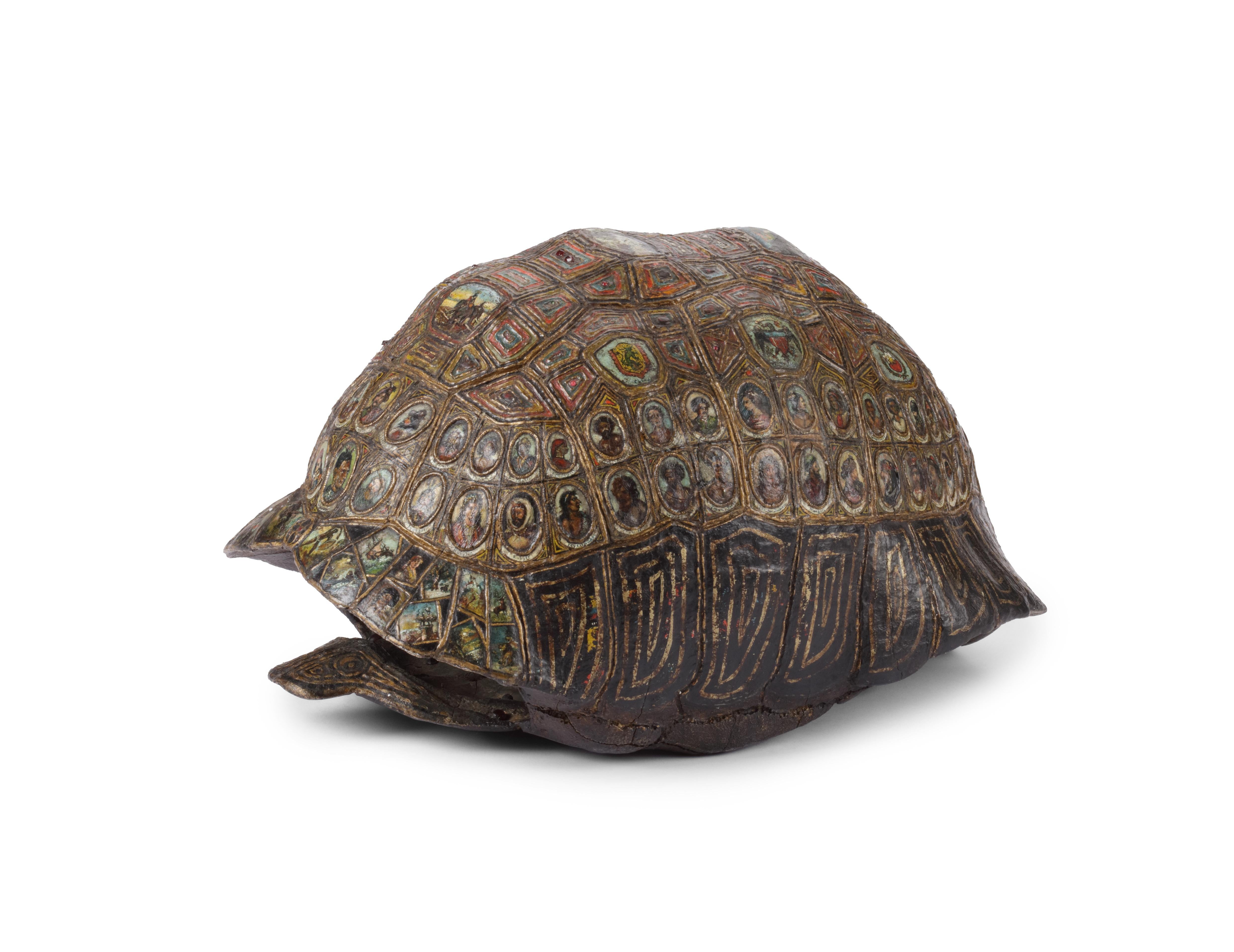 can you paint a turtle shell