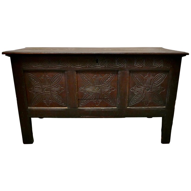 19th Century Carved Paneled Oak Coffer For Sale