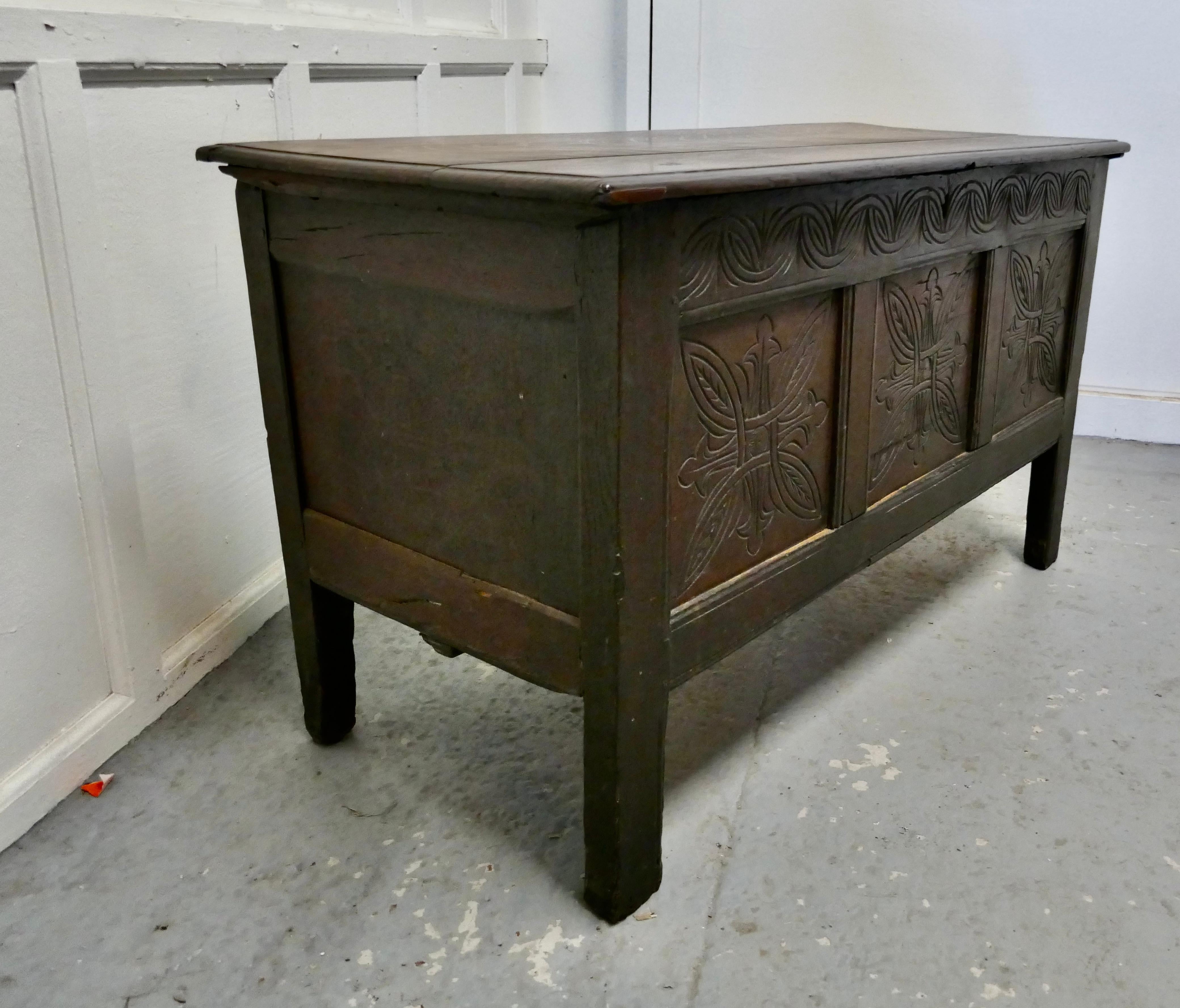Gothic 19th Century Carved Paneled Oak Coffer For Sale