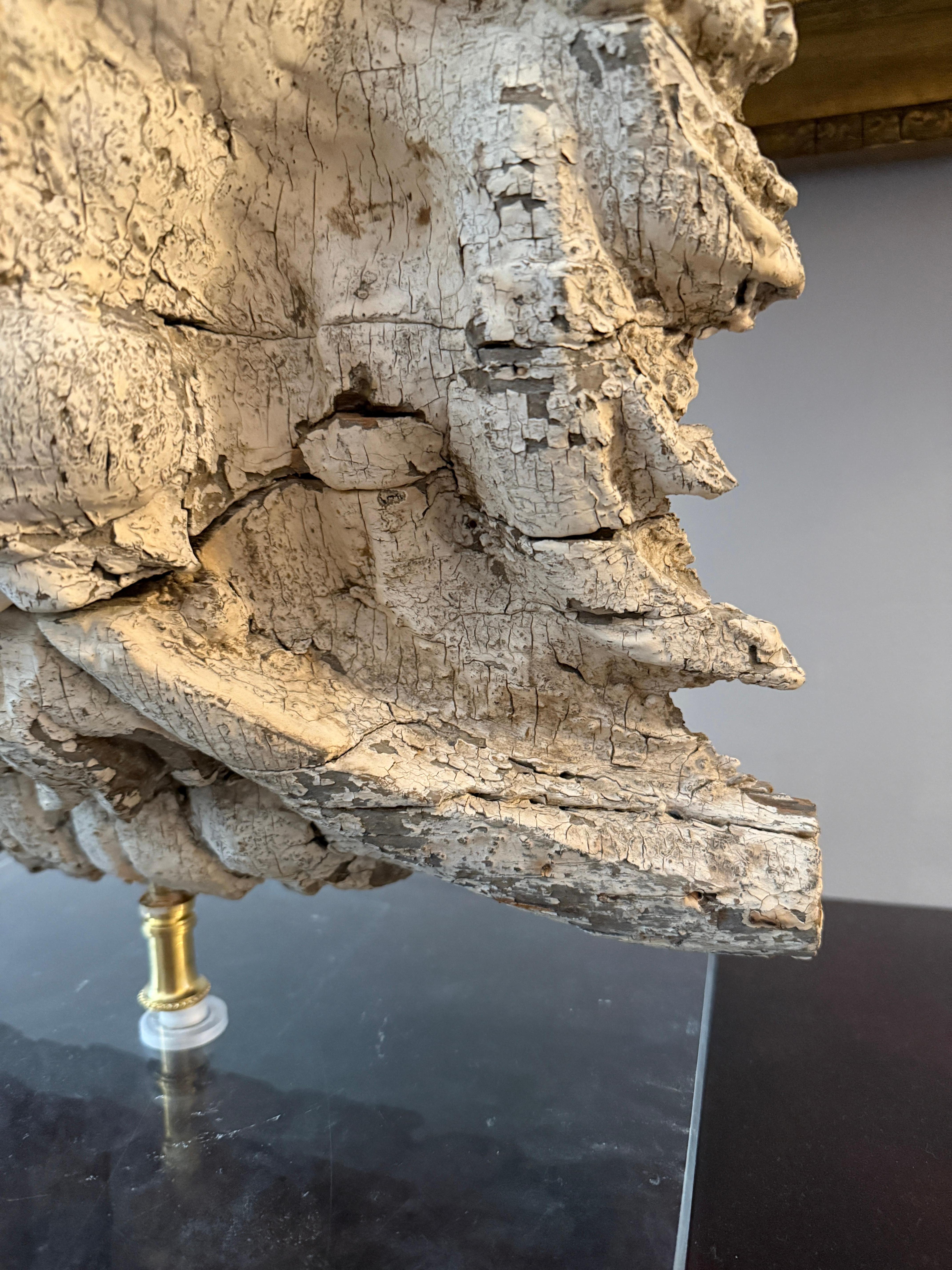 19th-Century Carved Pine Lion’s Head Architectural Fragment, Mounted on Lucite For Sale 5