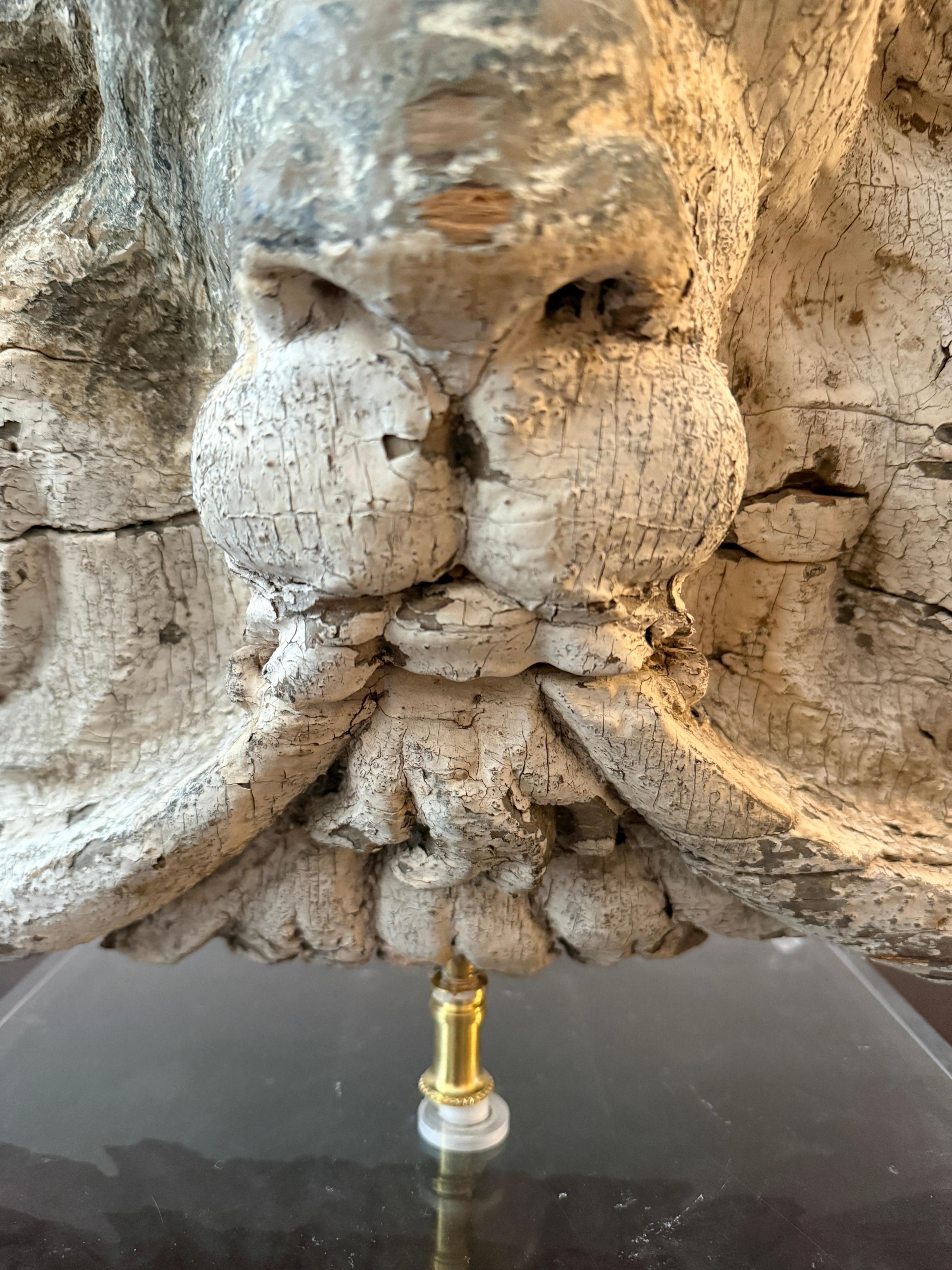 19th-Century Carved Pine Lion’s Head Architectural Fragment, Mounted on Lucite For Sale 6