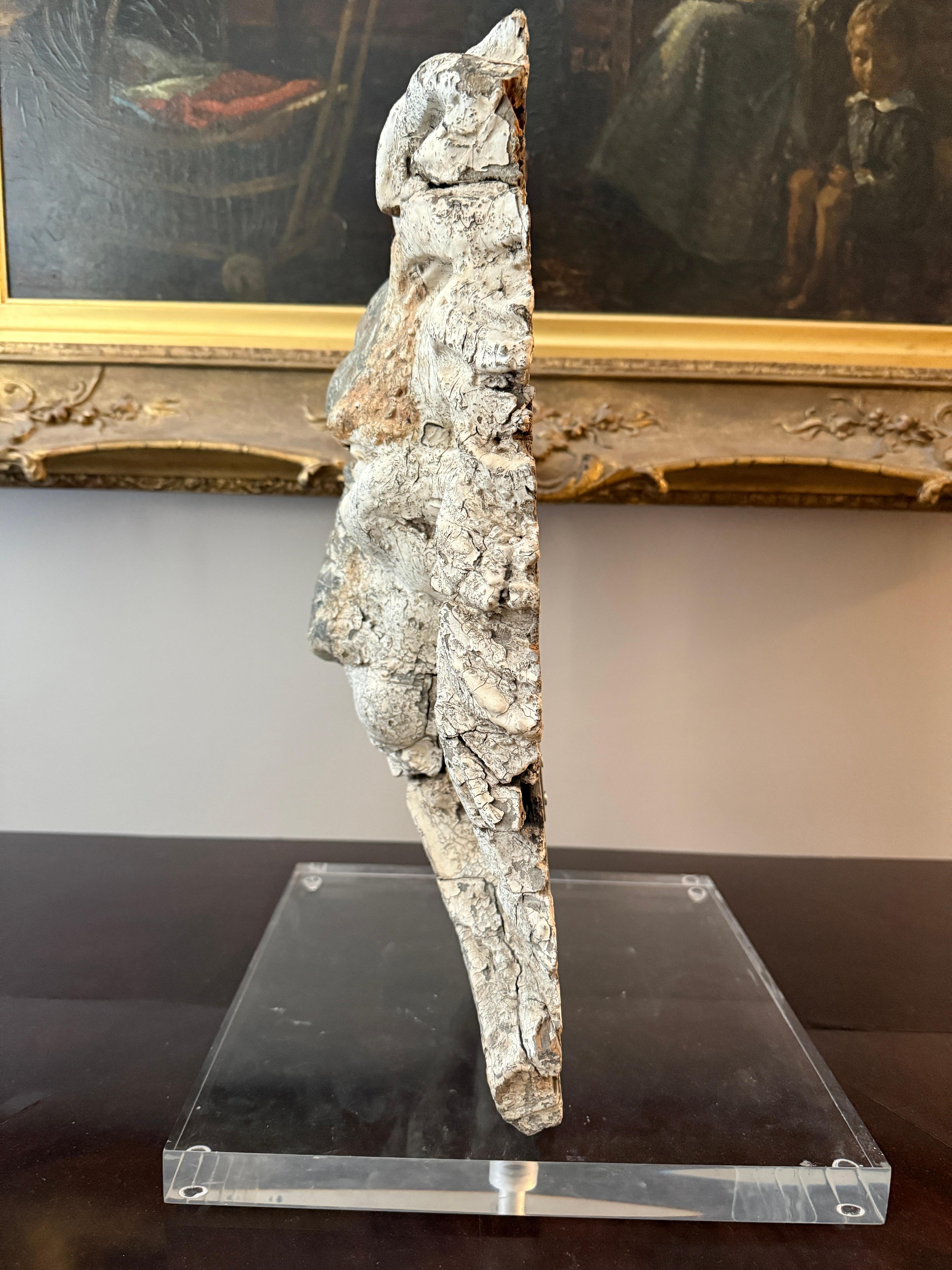 19th-Century Carved Pine Lion’s Head Architectural Fragment, Mounted on Lucite For Sale 9