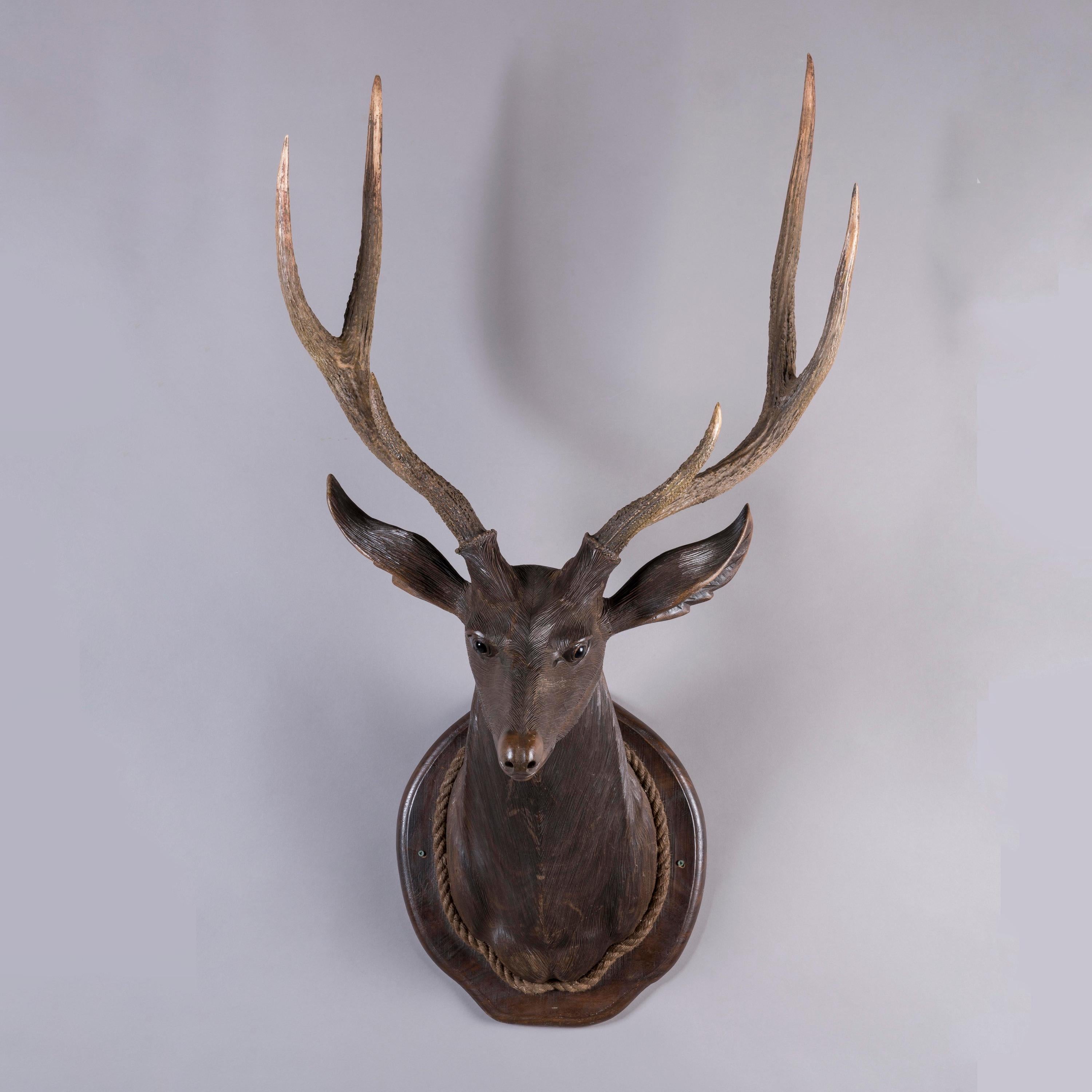 A Rare Life-Sized Black Forest Stag's Head

Carved from Lindenwood, the deer head with realistic fur effect, patination, and glass inset eyes in conjunction with the real three-tined antlers. Mounted on its original moulded bird finished with