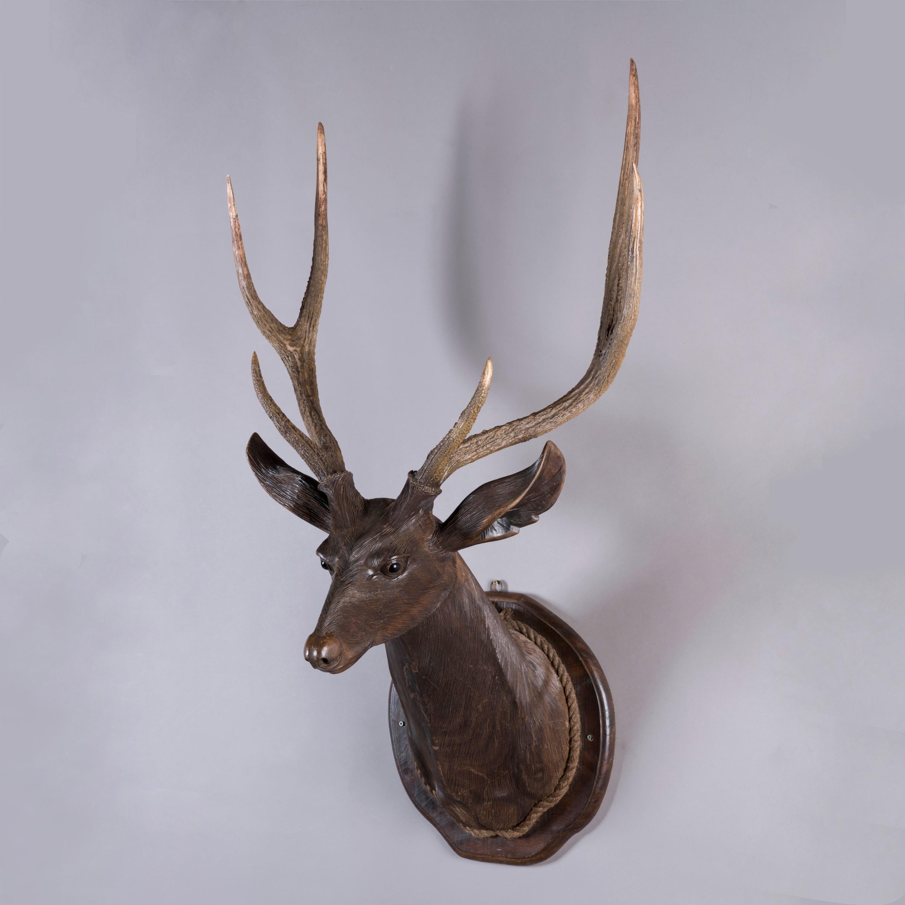 Hand-Carved 19th Century Carved Swiss 'Black Forest' Life-Sized Stag's Head Wall Mount For Sale