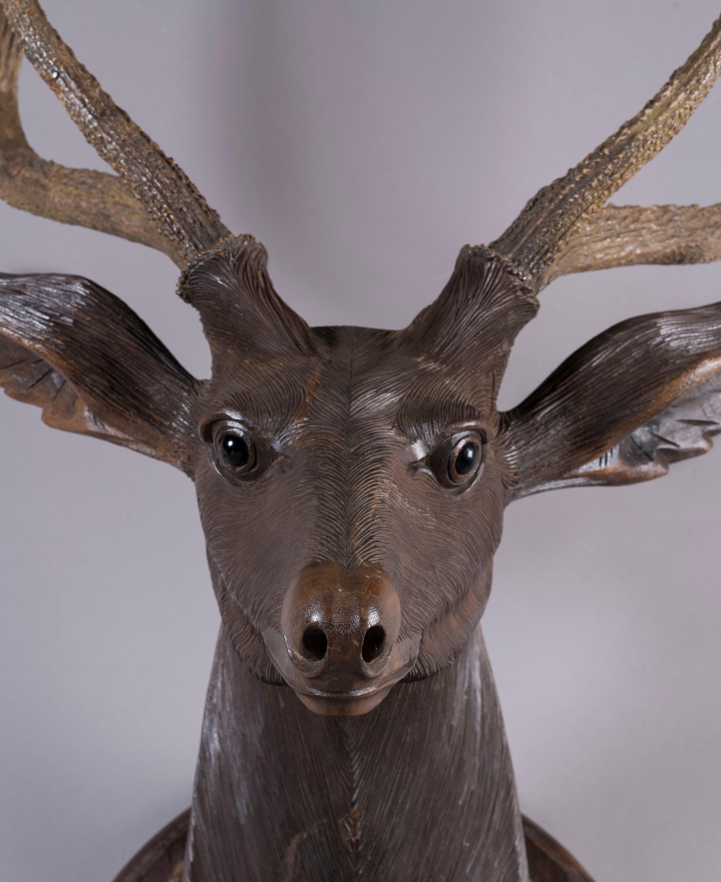 Wood 19th Century Carved Swiss 'Black Forest' Life-Sized Stag's Head Wall Mount For Sale