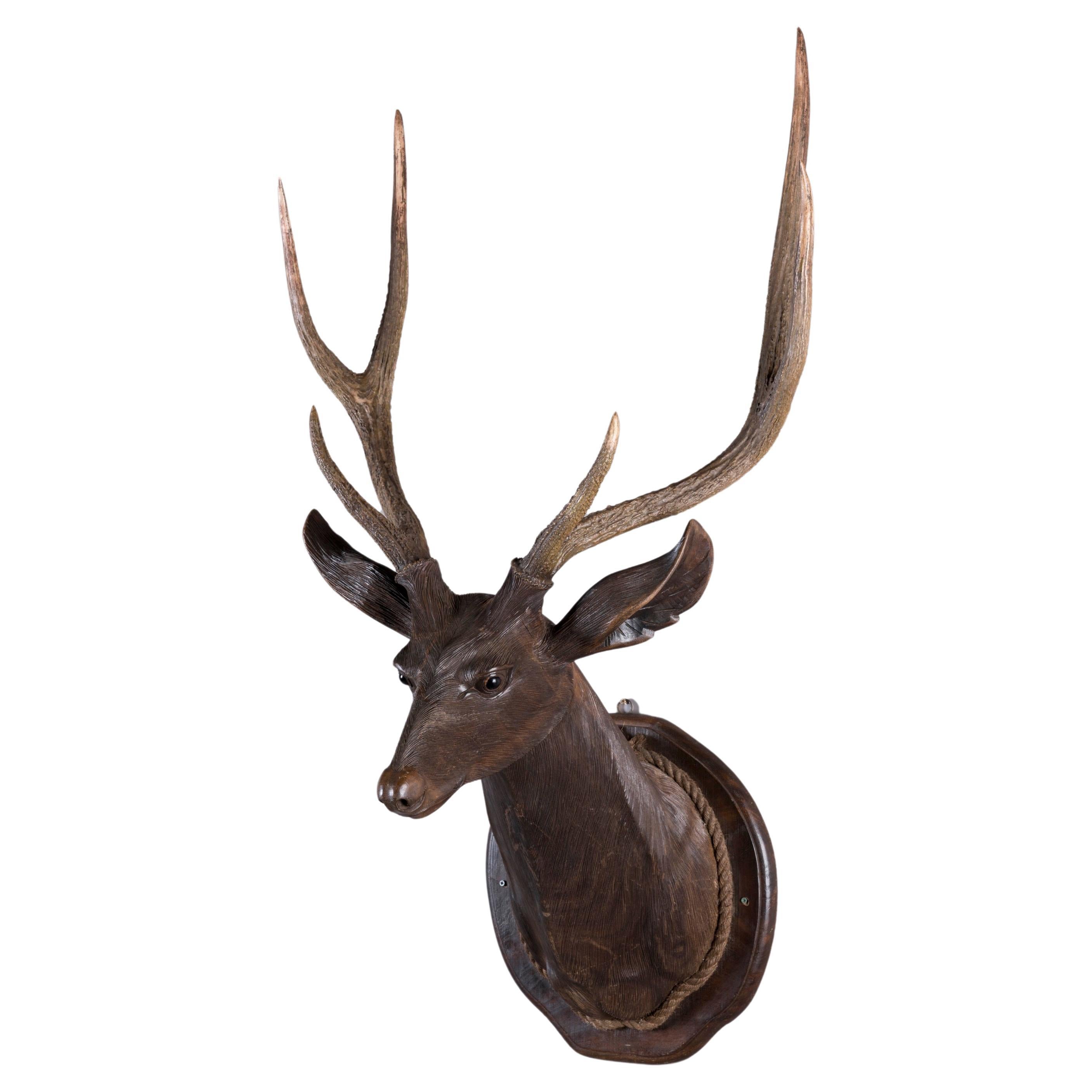 19th Century Carved Swiss 'Black Forest' Life-Sized Stag's Head Wall Mount For Sale