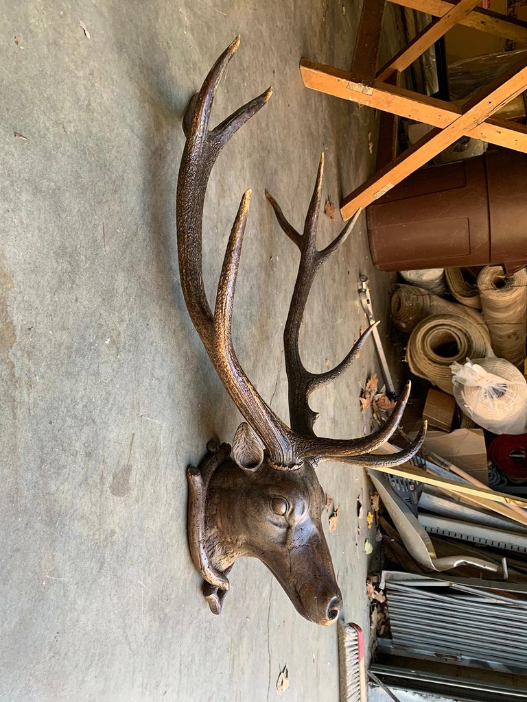 19th Century Carved WallMount Stag Head at 1stDibs carved stag head