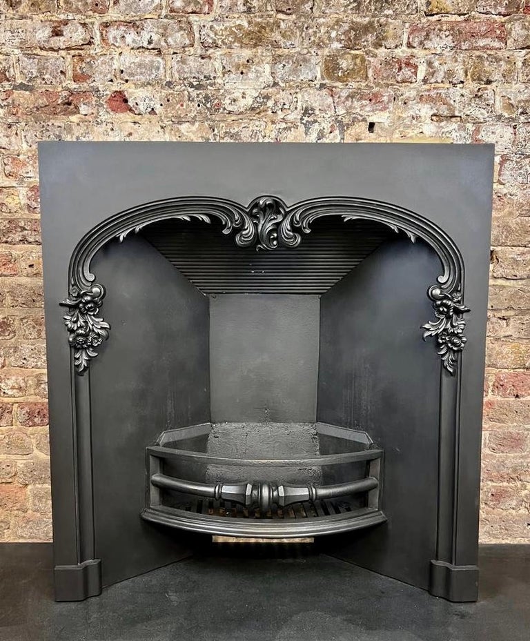 19th Century Cast Iron Arched Fireplace Insert For Sale at 1stDibs