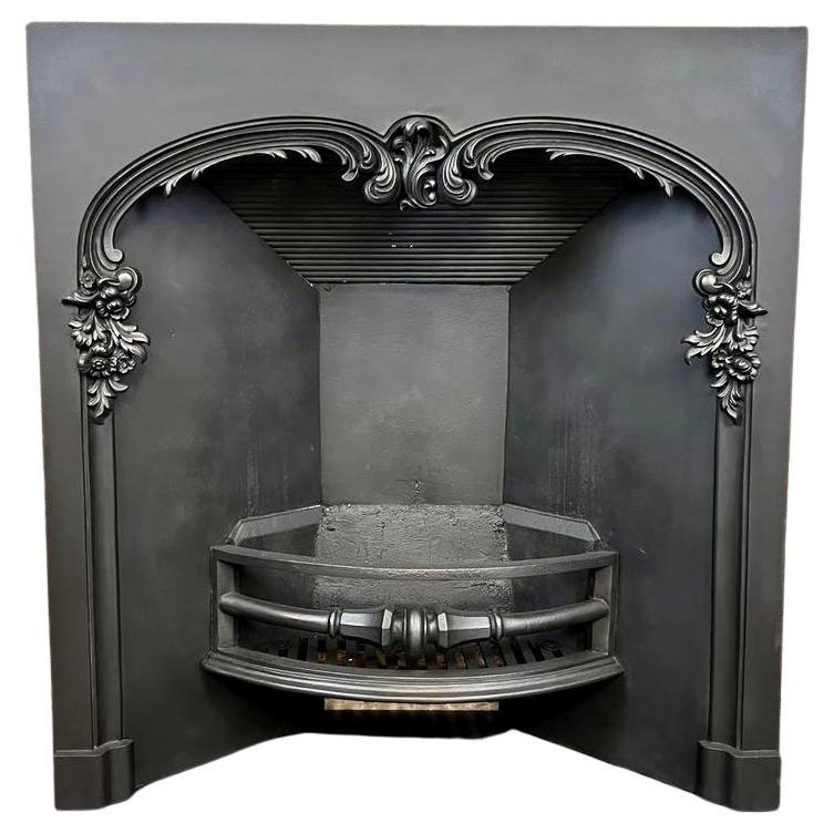 19th Century Cast Iron Arched Fireplace Insert For Sale
