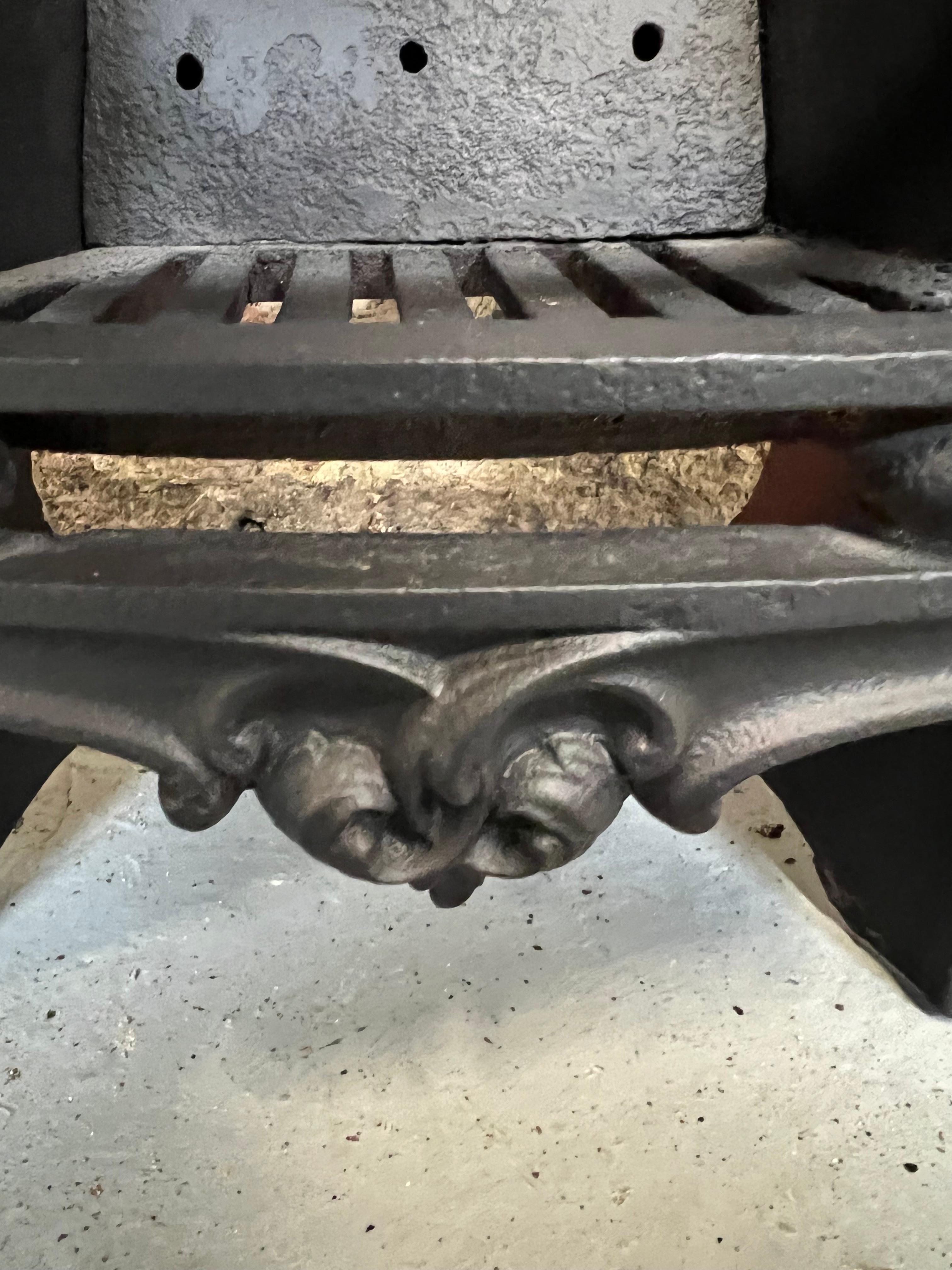 19th Century Cast Iron Fireplace Insert 5