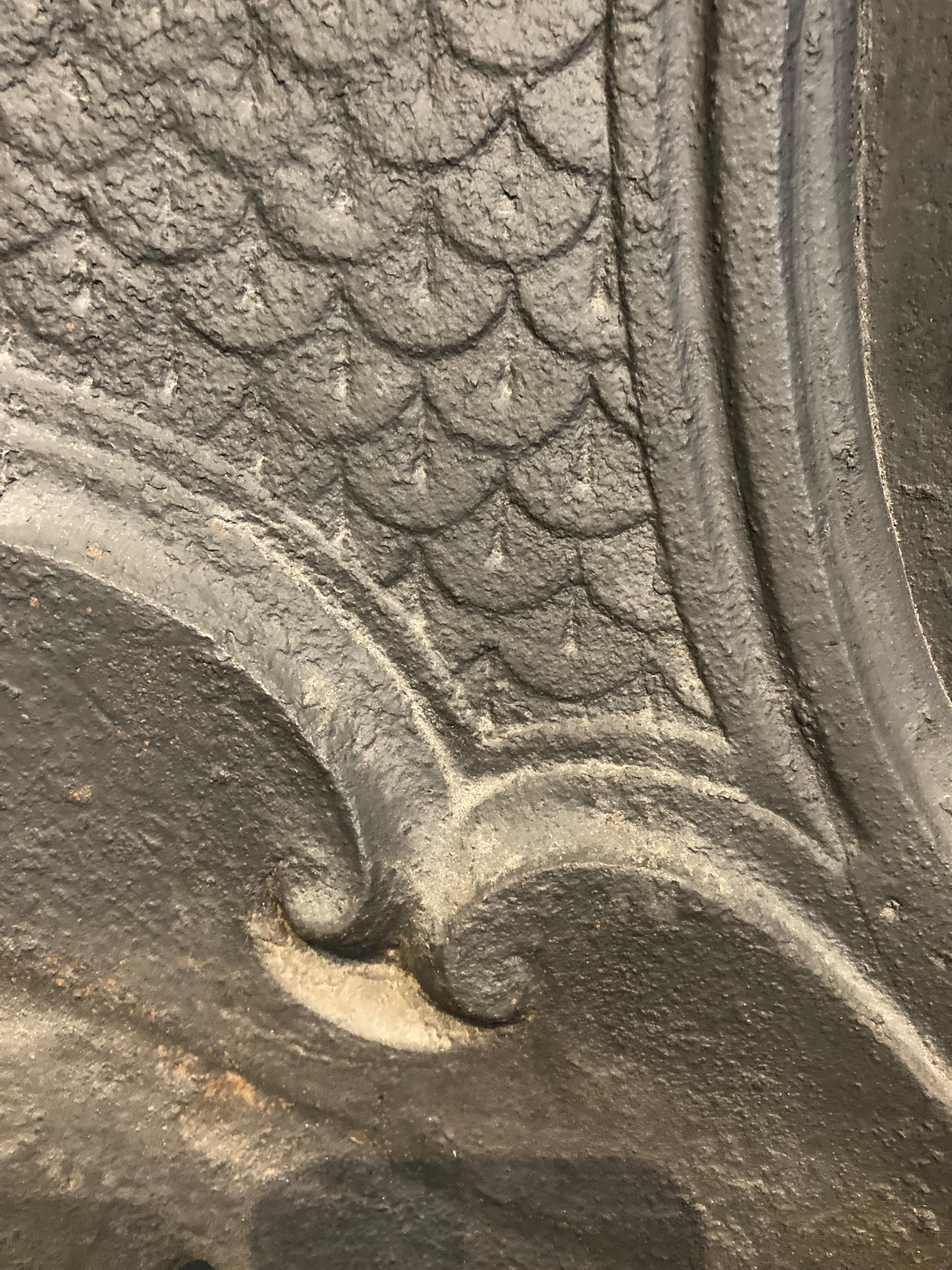 19th Century Cast Iron Fireplace Insert 10