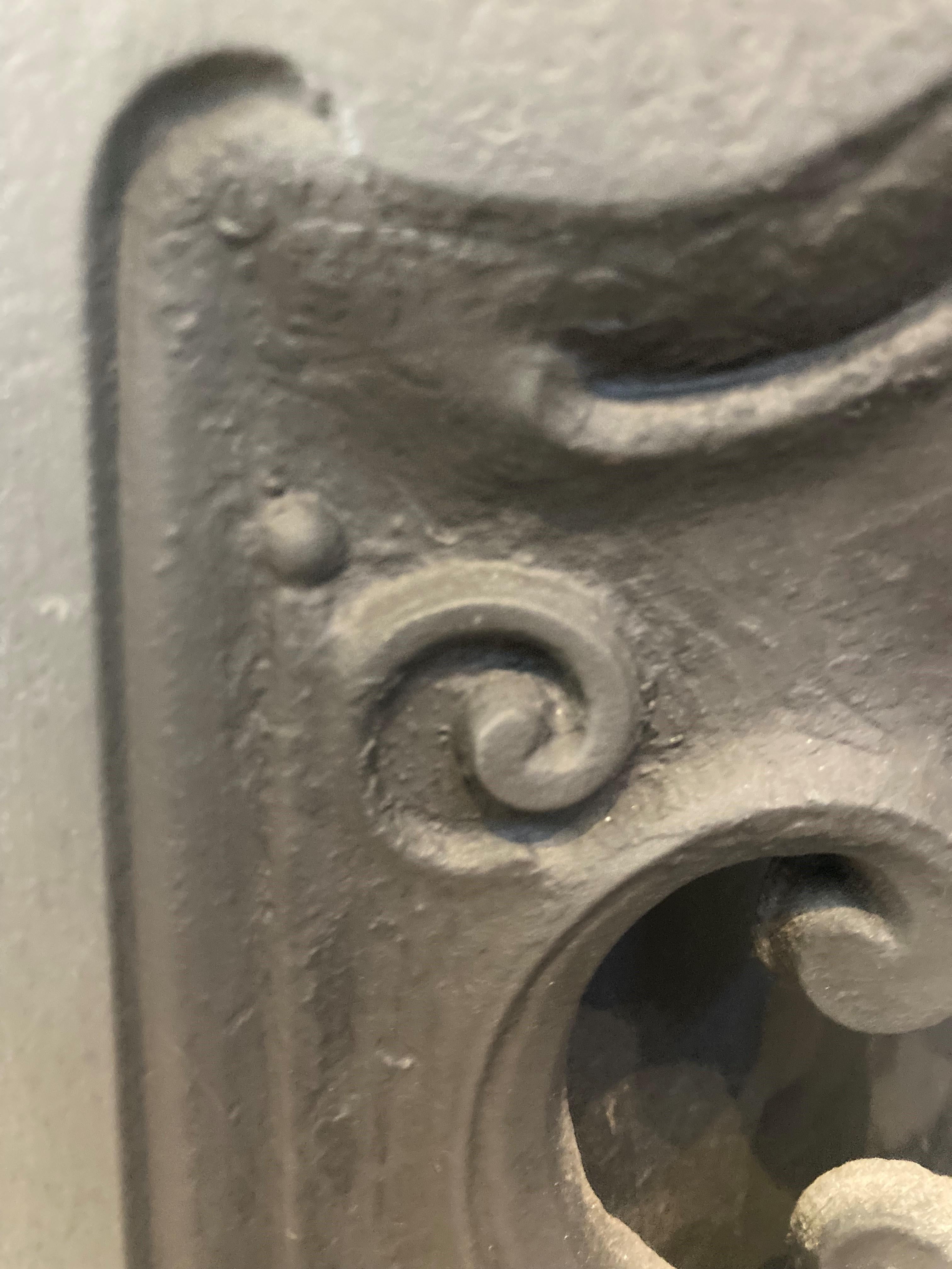 19th Century Cast Iron Fireplace Insert 11
