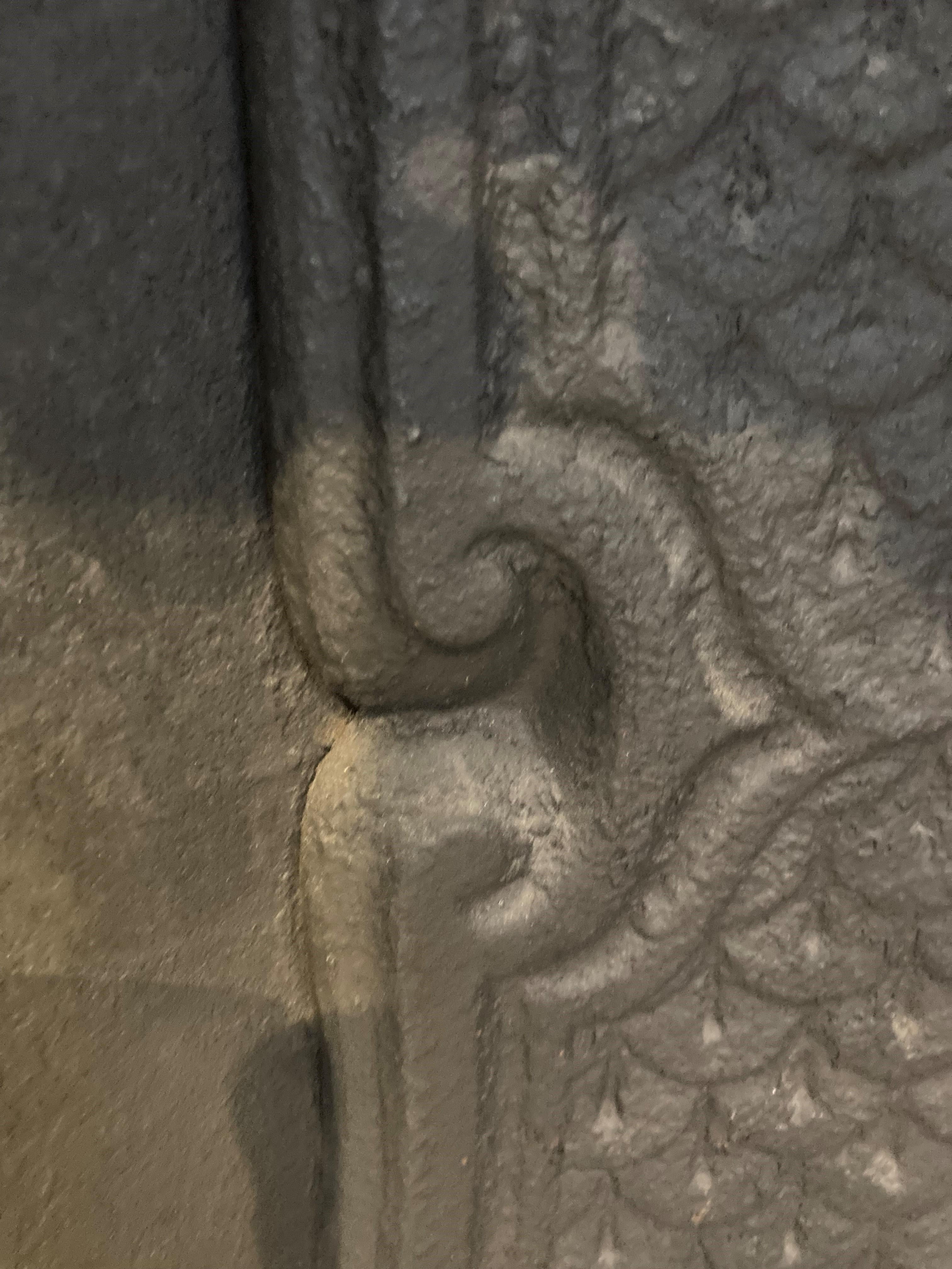 19th Century Cast Iron Fireplace Insert 12