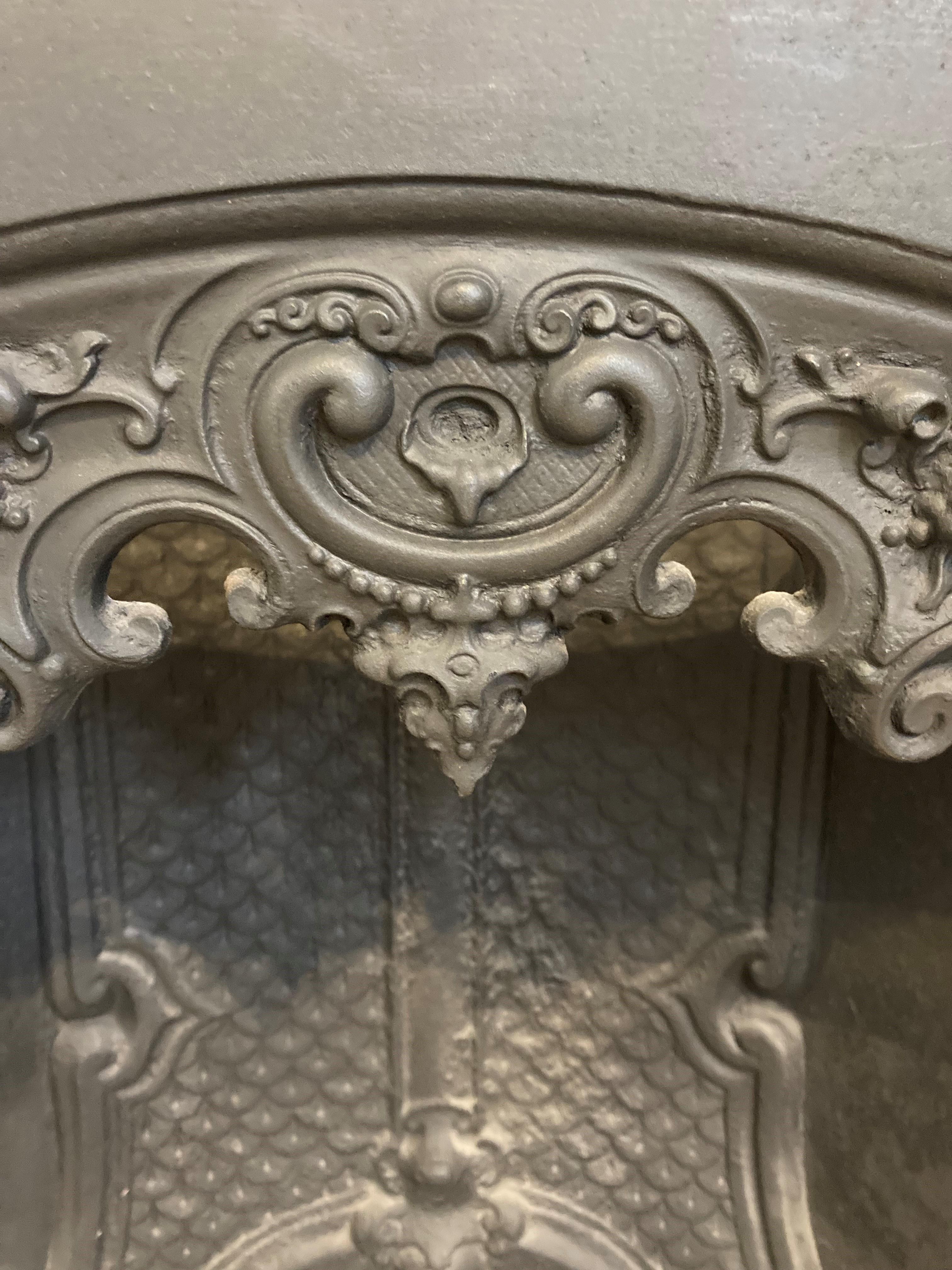 19th Century Cast Iron Fireplace Insert 2