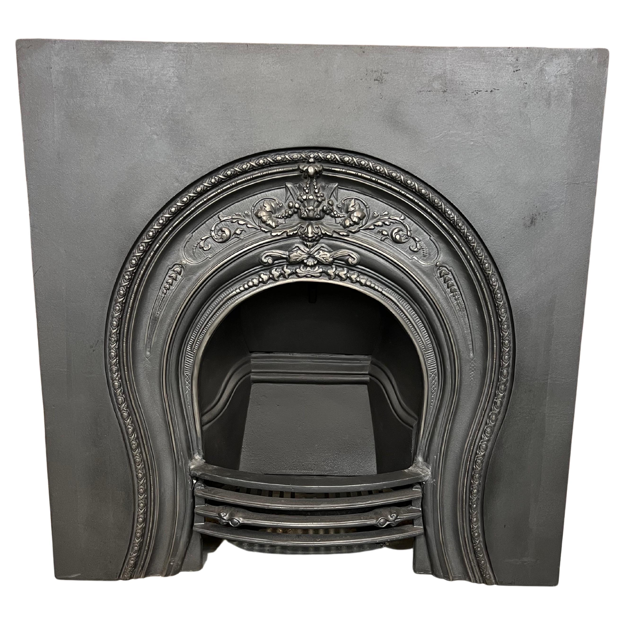 19th Century Cast Iron Fireplace Insert For Sale