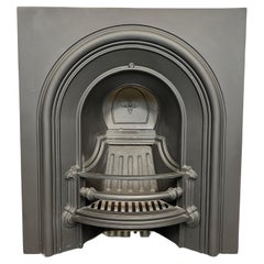Retro 19th Century Cast Iron Fireplace Insert