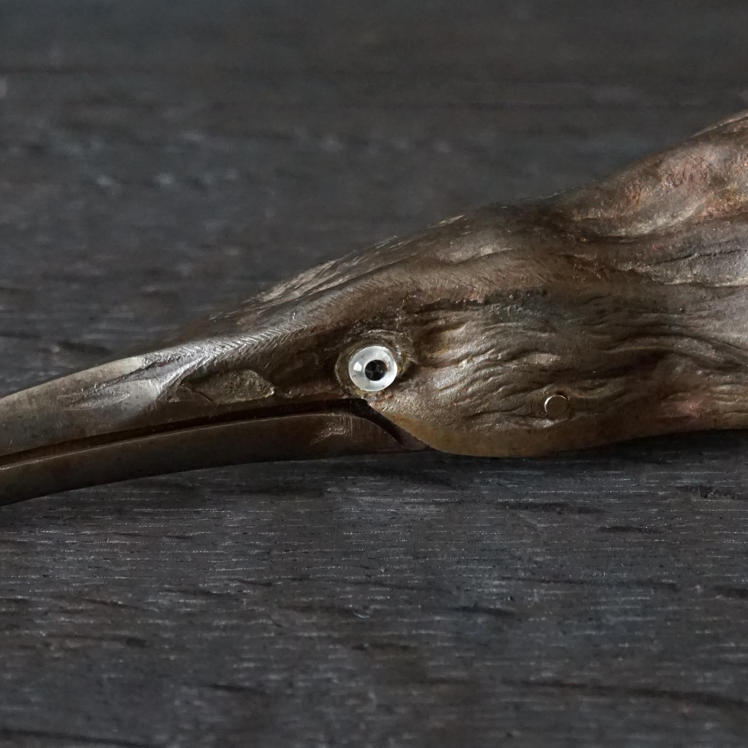 iron head bird