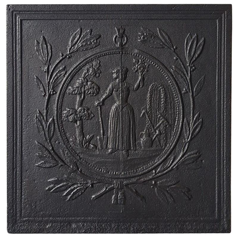 19th Century Cast Iron French Fireplace Back Plate