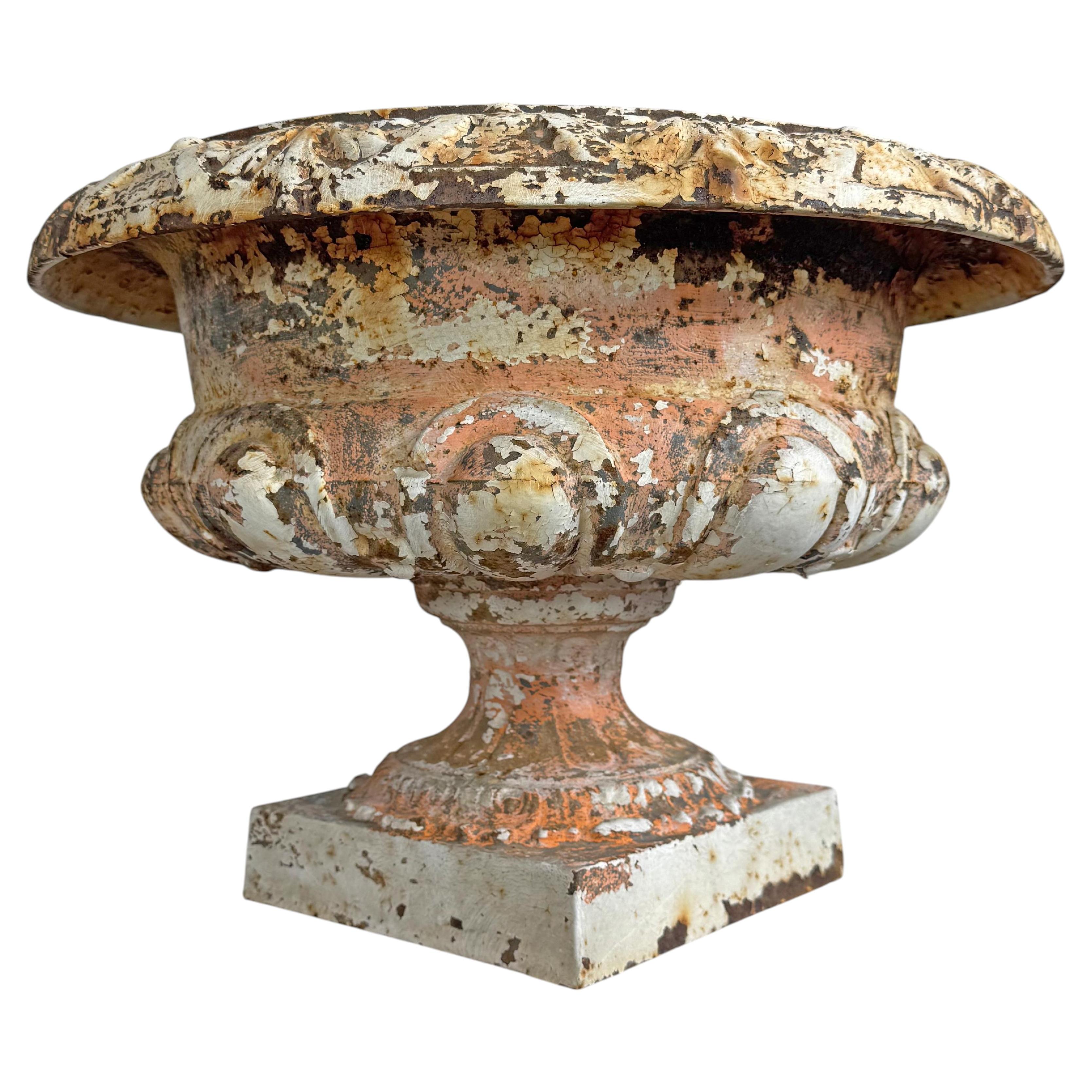 Urna Tazza Francesa de Hierro Fundido del Siglo XIX