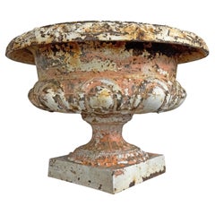 19th Century Cast Iron French Tazza Urn
