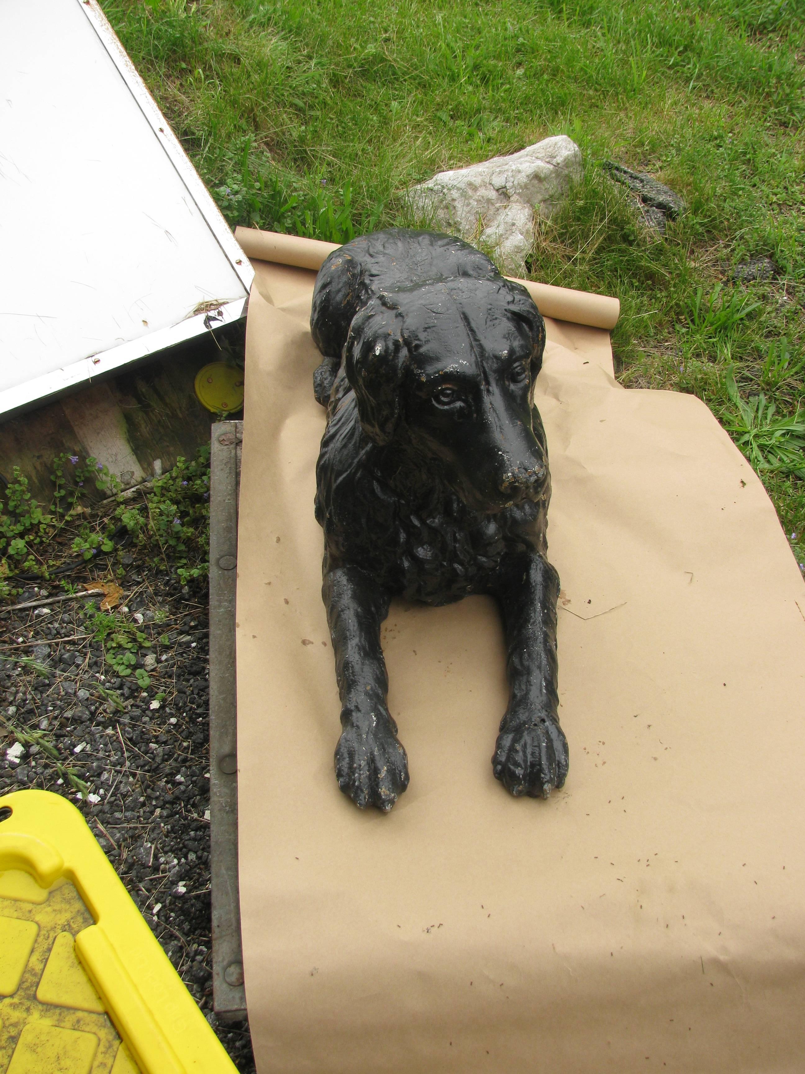 Cast iron retriever dog in a sitting laying down position. Nice detail with his fur, facial, feet etc.