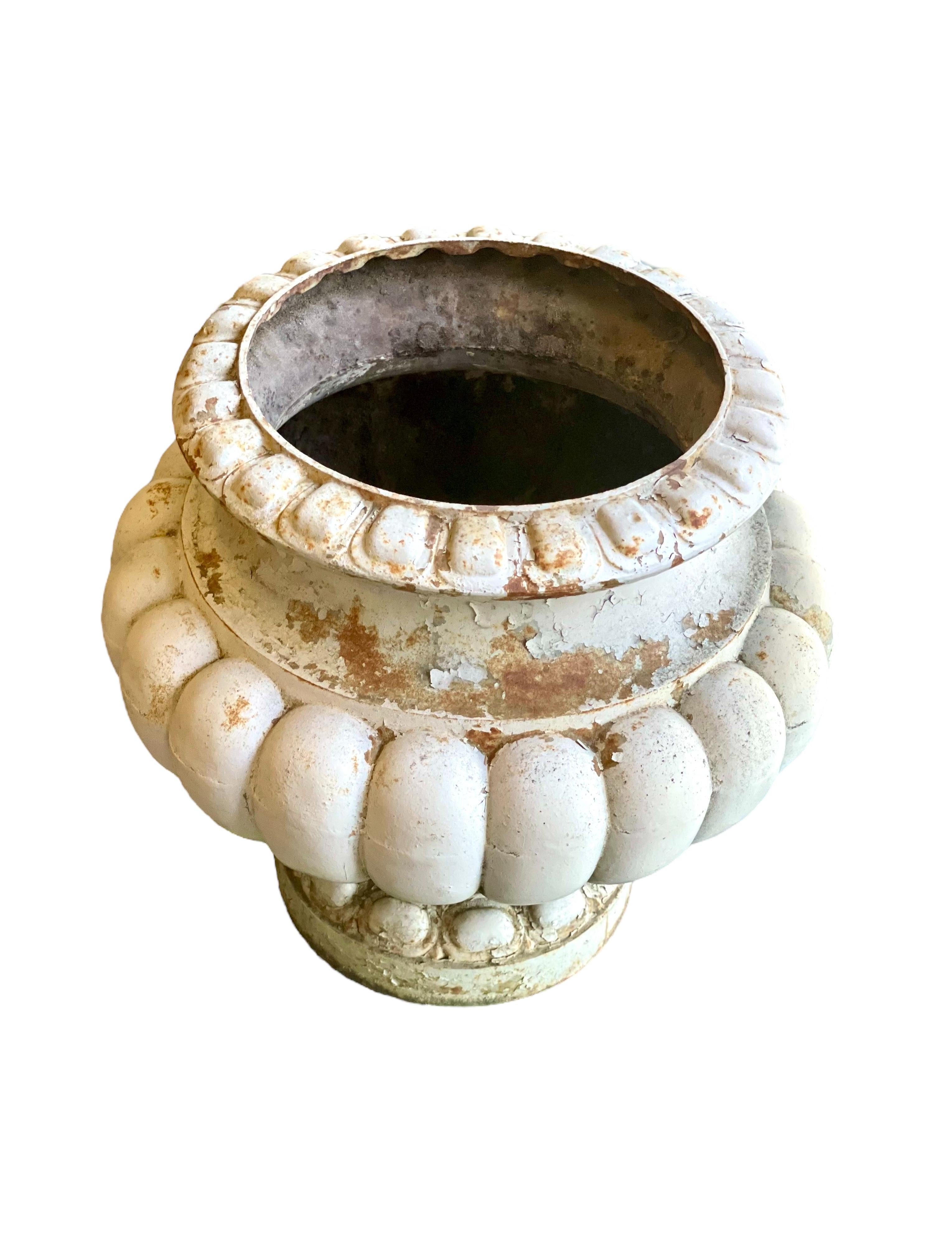 A 'pot-bellied' garden urn in grey-lacquered cast iron, and decorated with egg and dart mouldings round the lip, and classical gadrooning below. This eye-catching antique planter sits on a rounded base, and at 41cm high is the perfect size for a