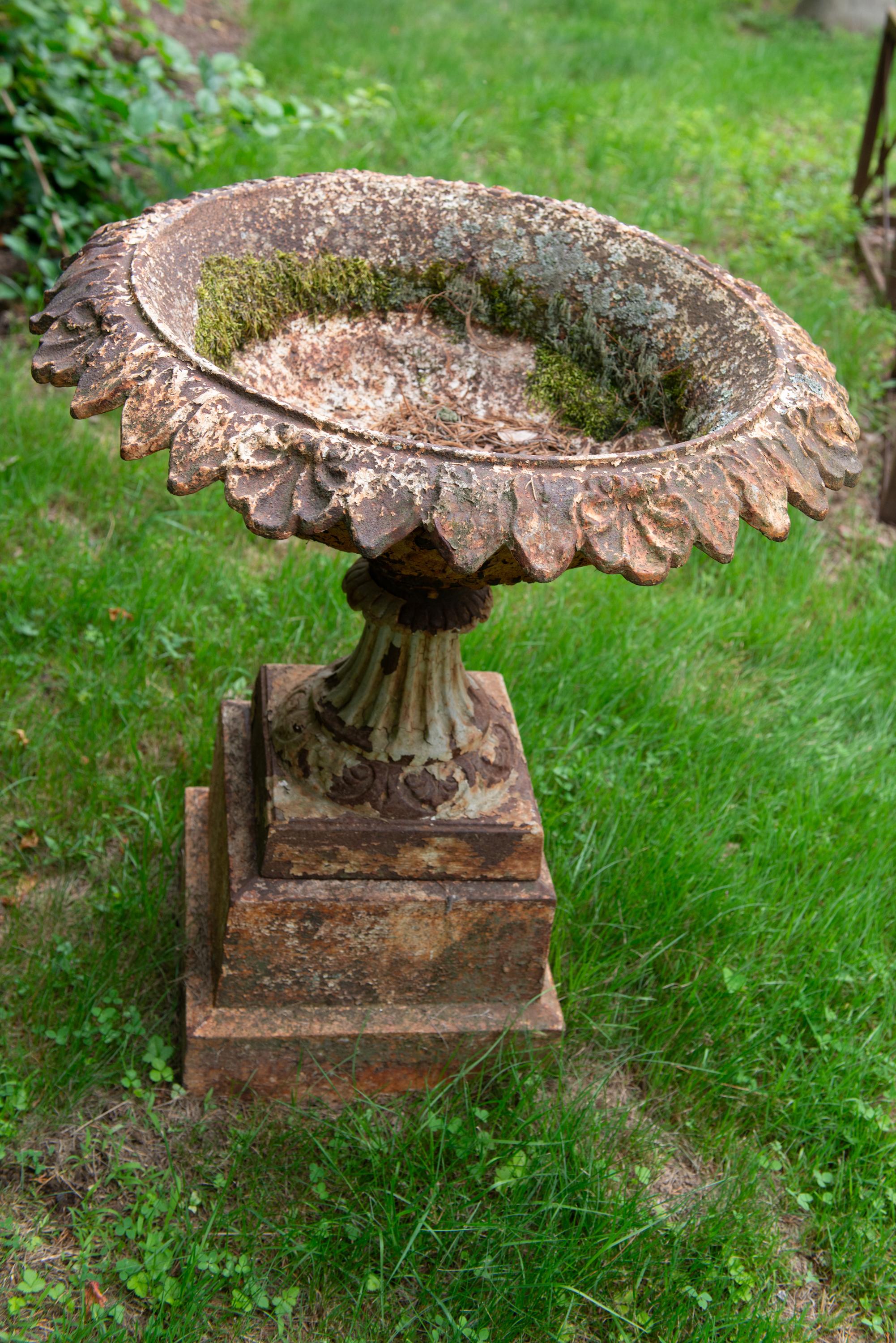 19th Century Cast Iron Urn on Plinth For Sale 4