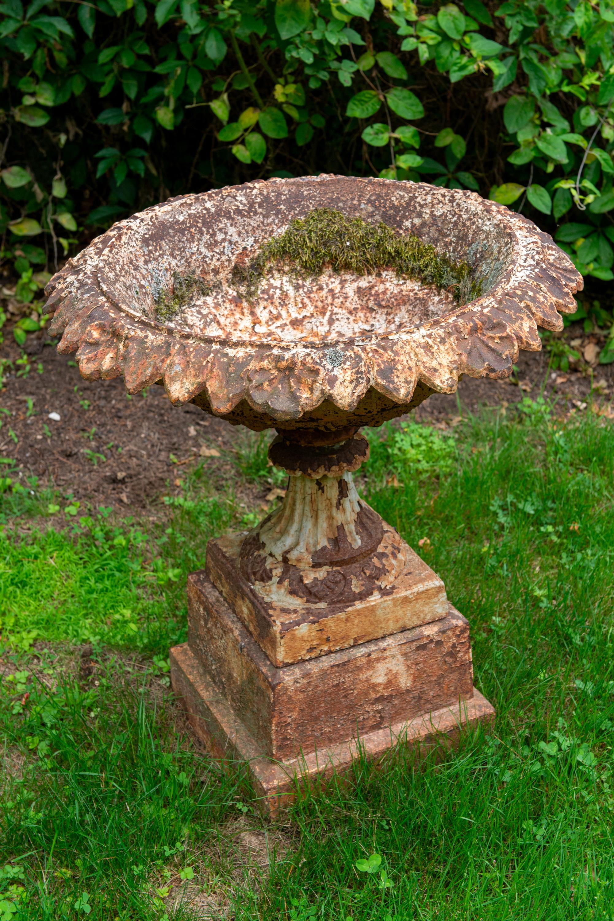 Crusty 19th century cast iron urn or planter on a plinth. All iron is solid and in good condition. Rusty finish is superficial. Good proportions, classical details.